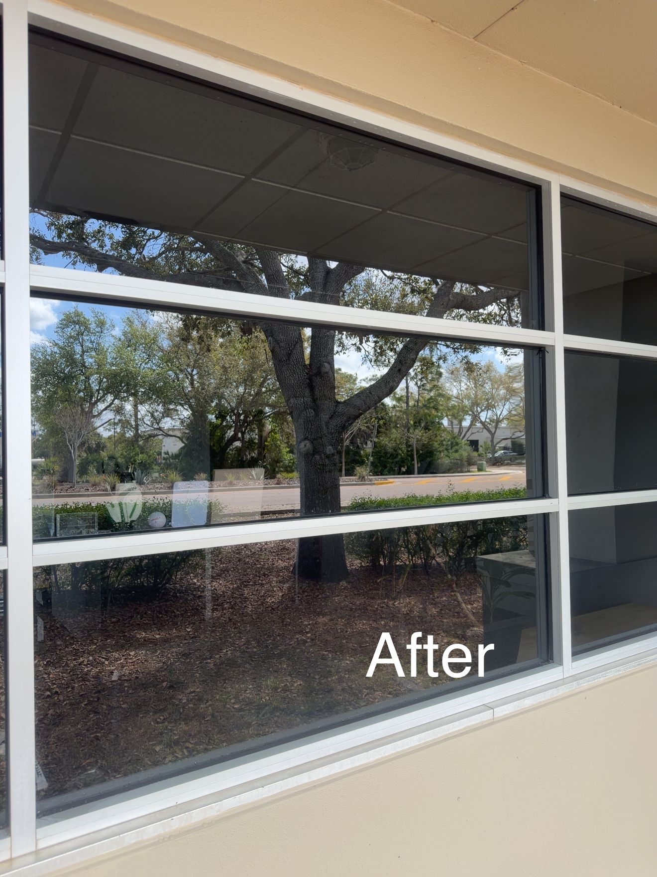  for My Window Guys in Venice, FL