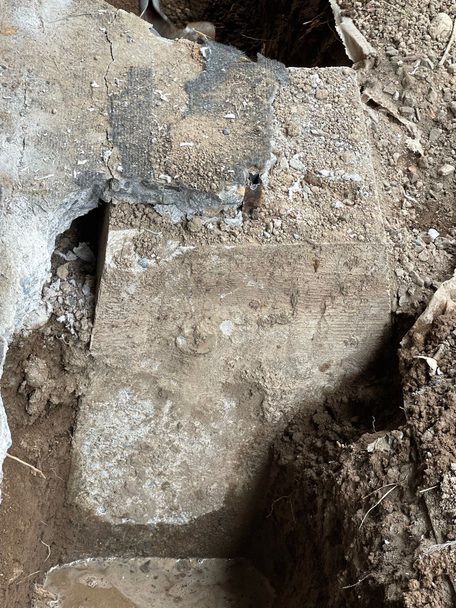  for Tony's Remodeling & Painting in Renton, WA