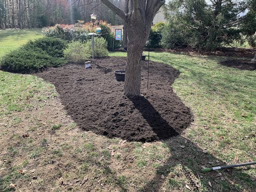  for Atlas Home Services in Mechanicsville, VA