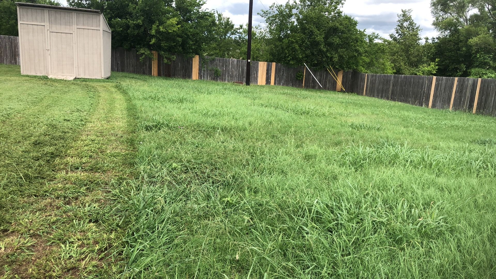  for D’s Lawncare in Killeen, TX