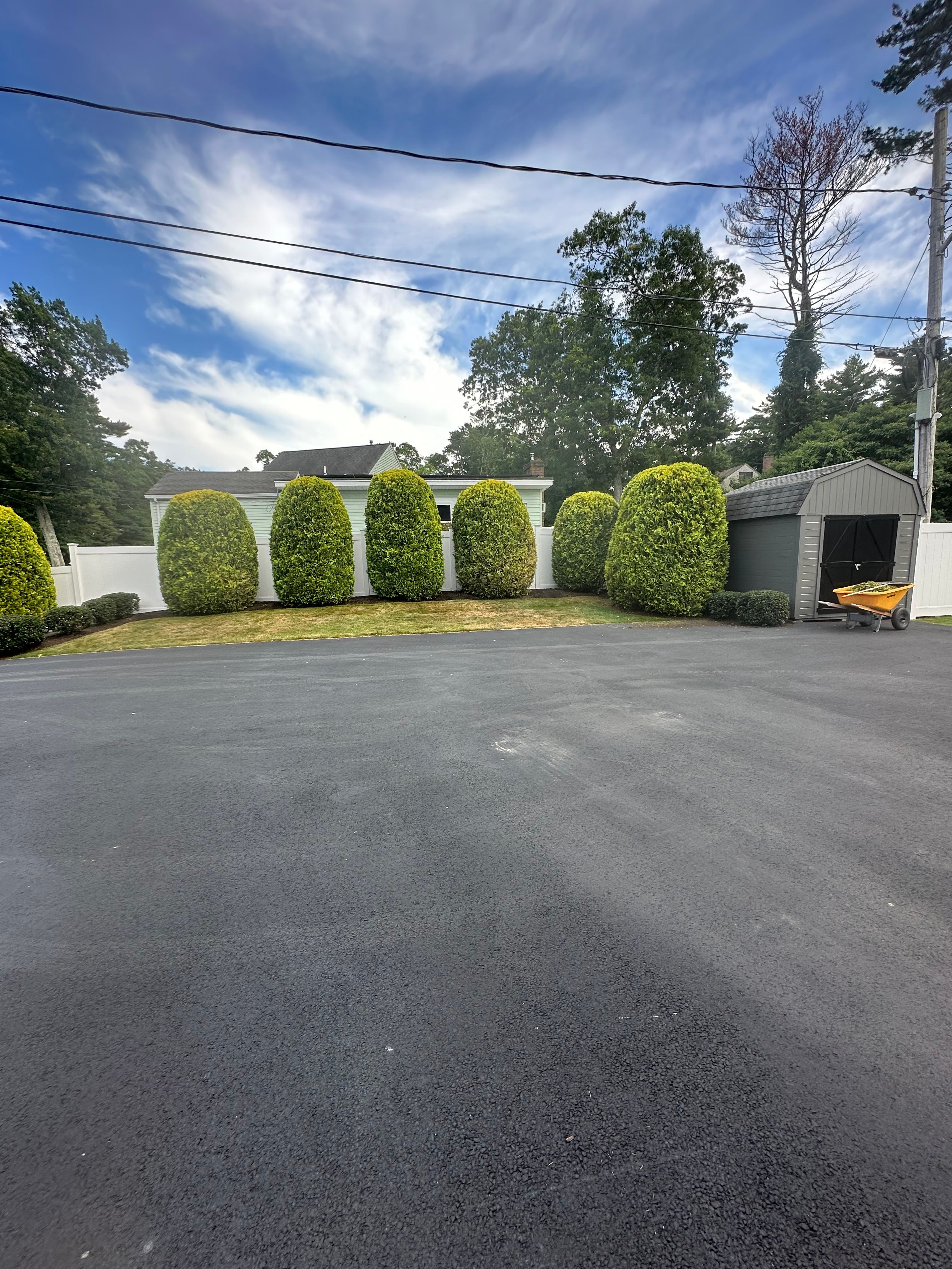  for Powell Tree Service Inc.  in Cape Cod, MA