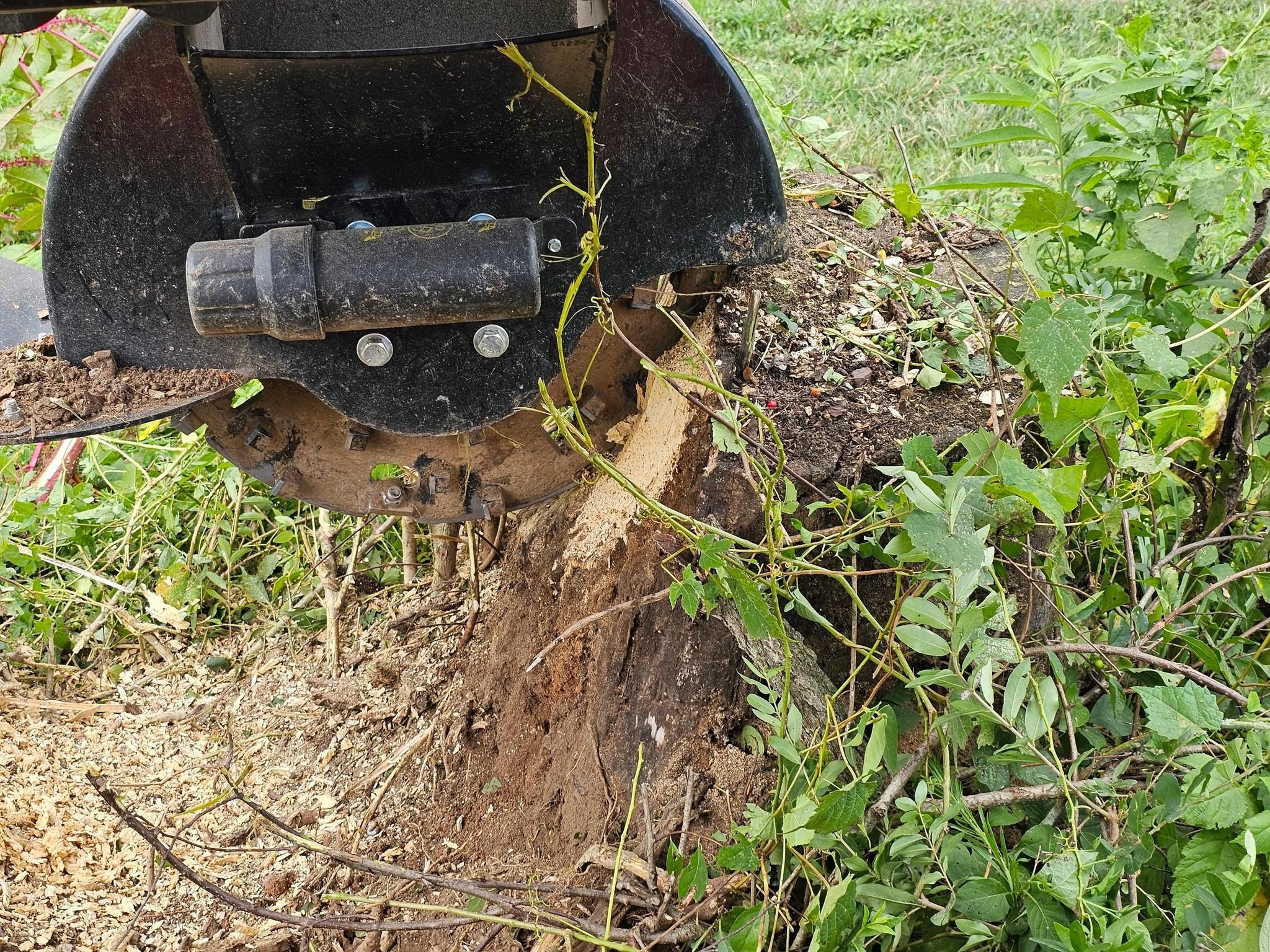  for I and R Stump Grinding in Thornville, OH