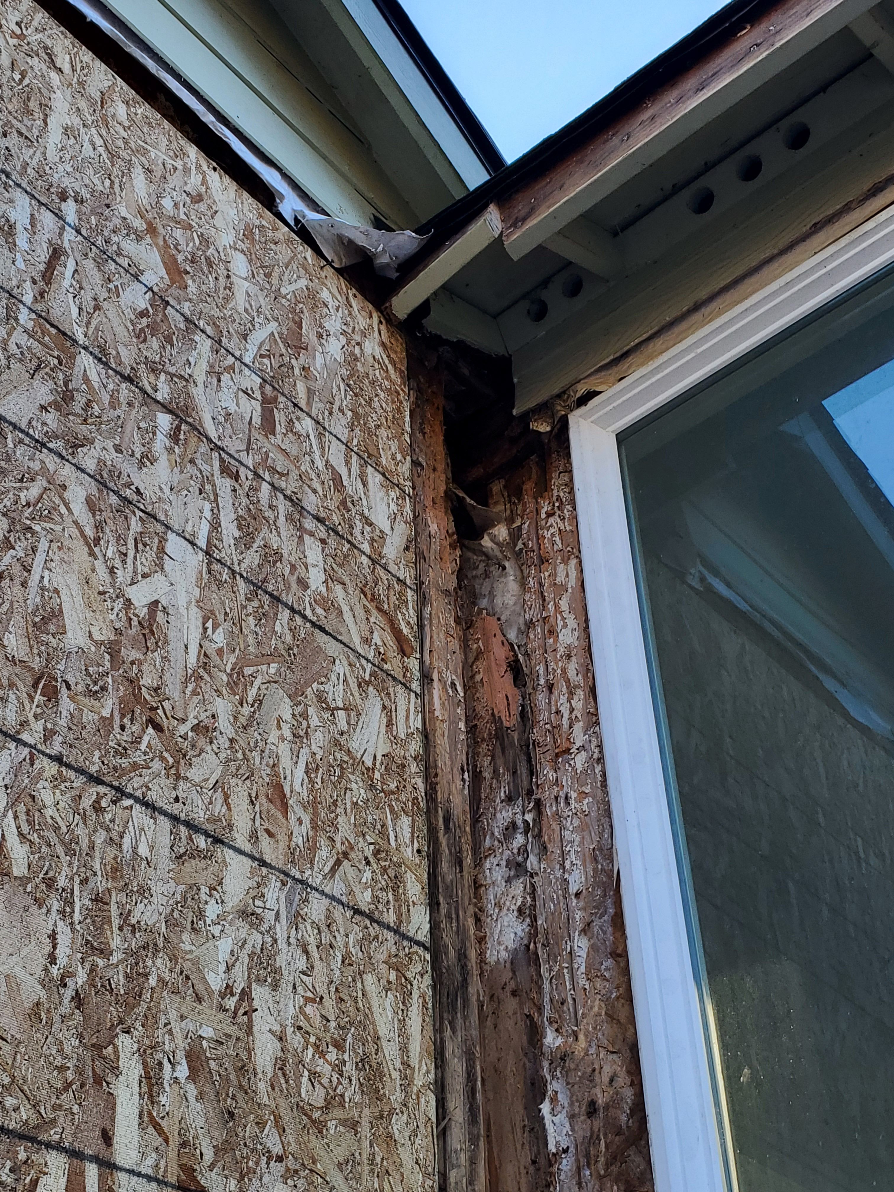  for Home Pros in Maple Falls, WA