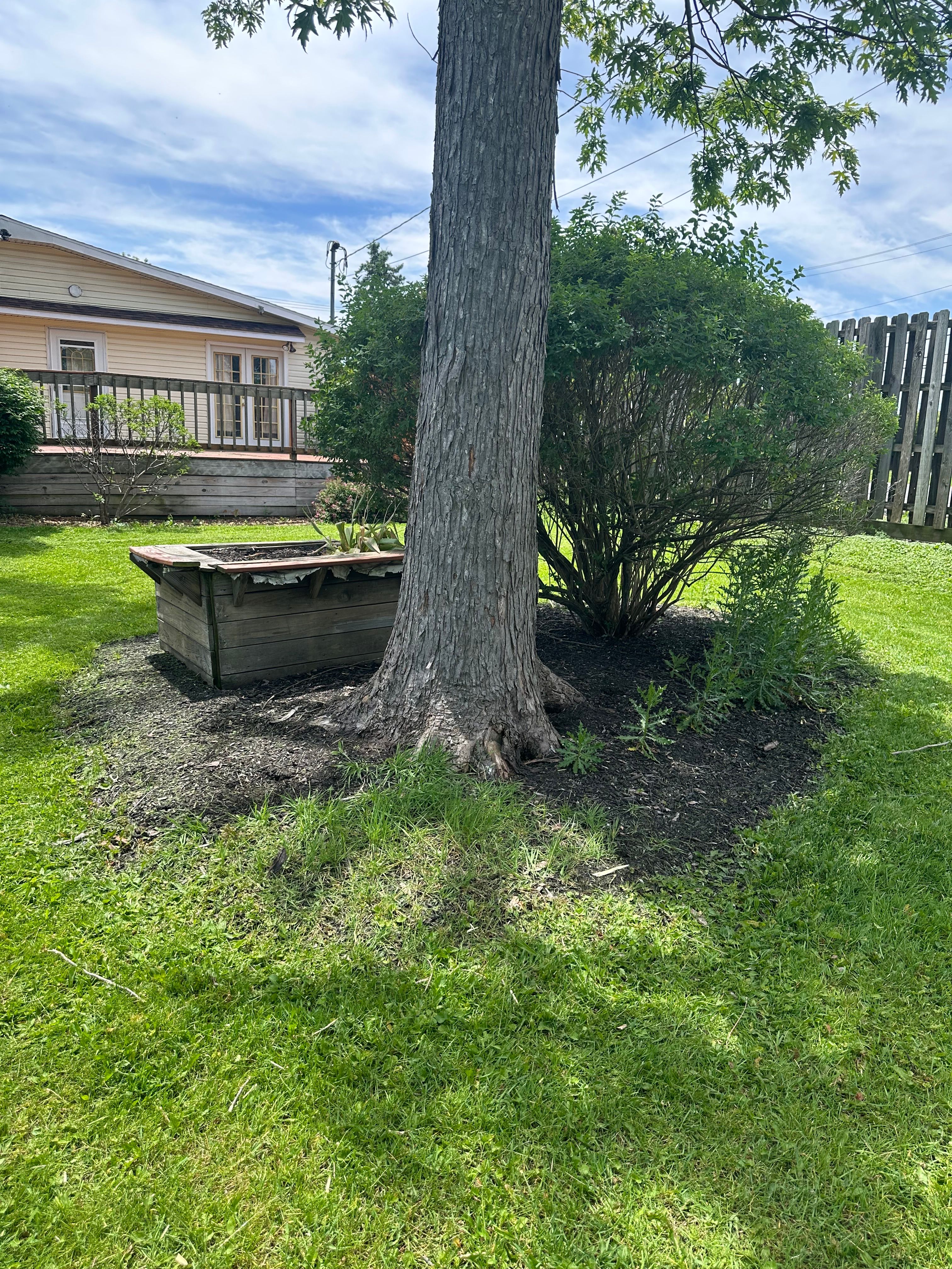  for OT Lawn and Landscaping LLC in Carey, OH
