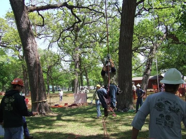  for TLC Professional Tree Service in Bedford, TX