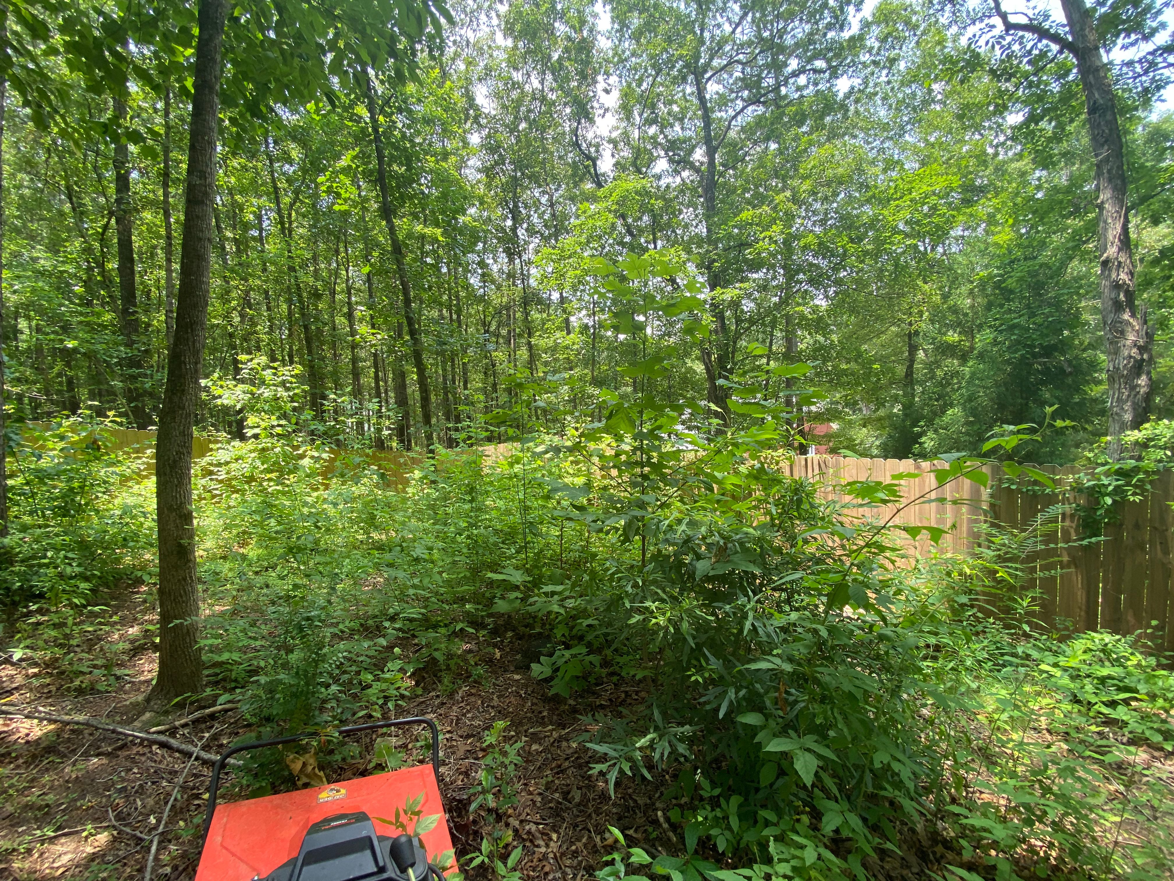  for Deeply Rooted Lawn Installations - Sod Installation & Hydroseeding Services in Winder, GA