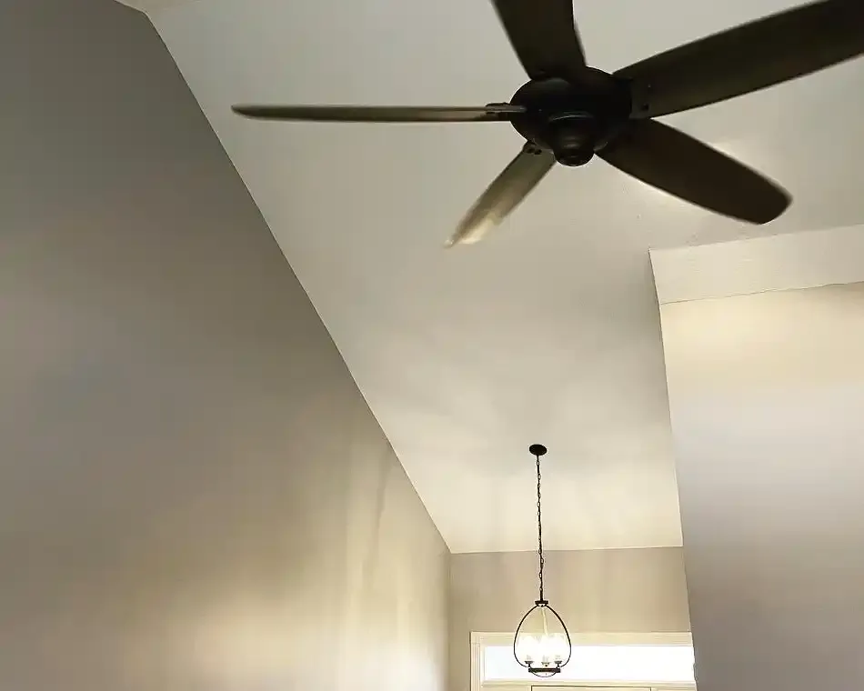  for Apex Painting in Livonia, MI