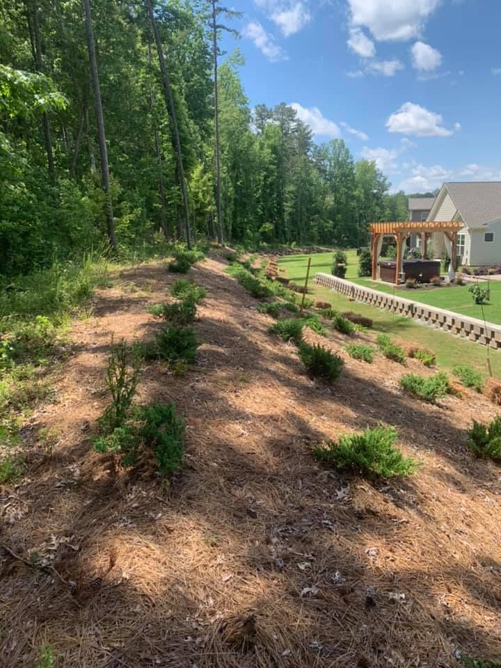  for Pecina Pine Needles in Monroe, NC