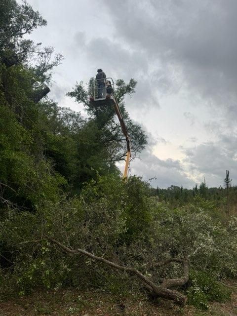 for All Seasons Tree and Land Works in Trenton, FL