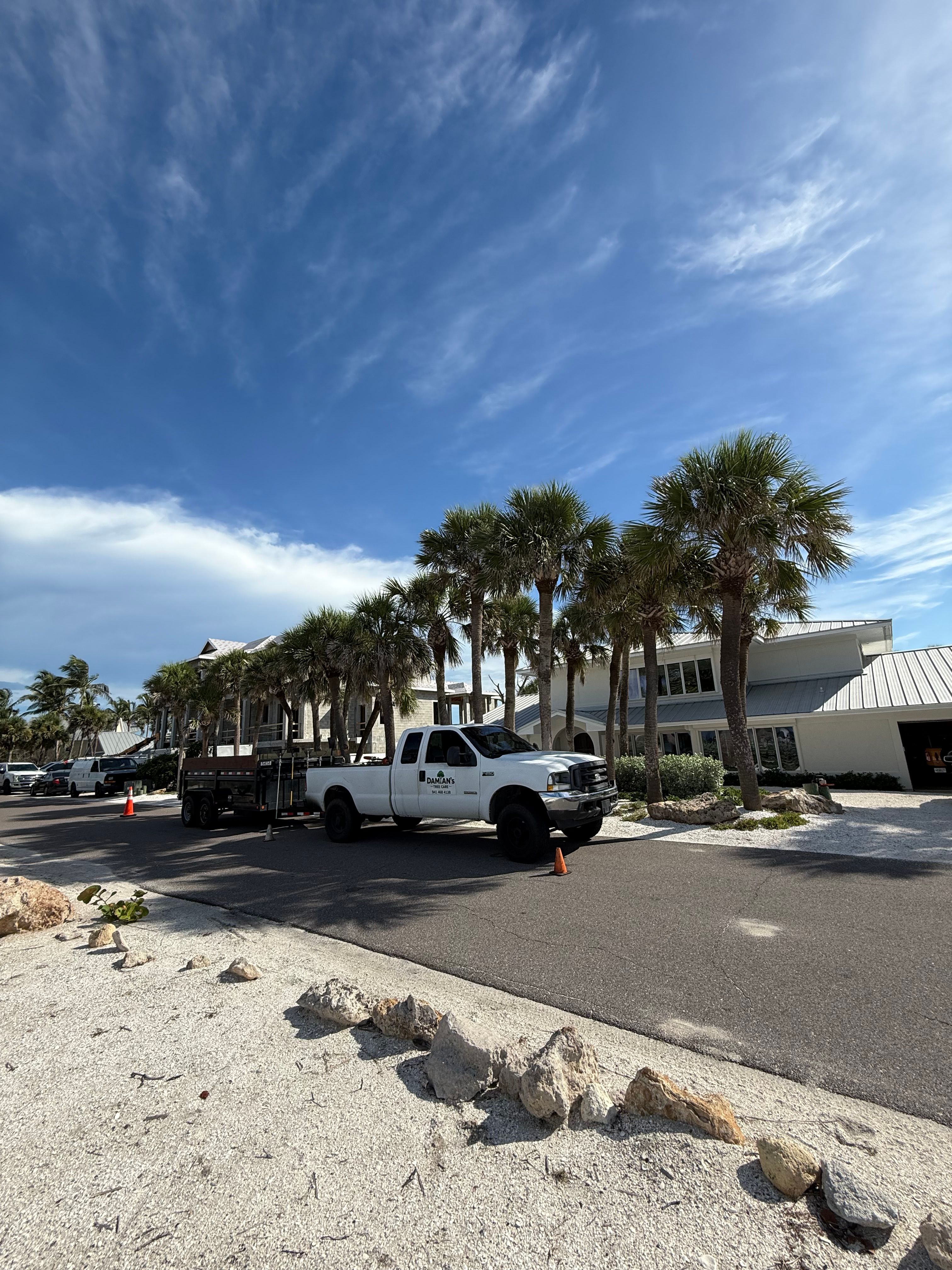  for Damian’s Tree Care in Sarasota, FL