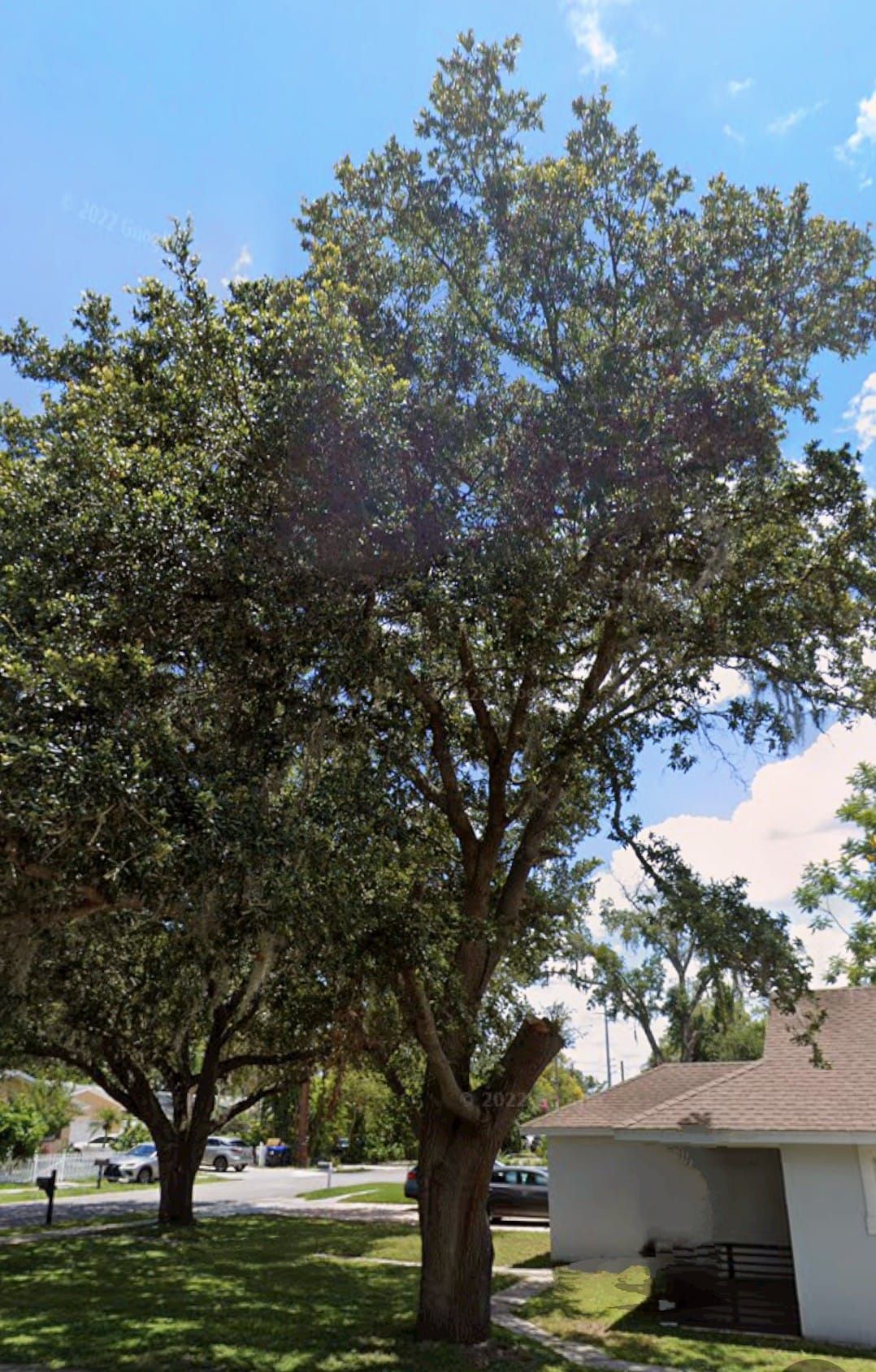  for A Southern Style Tree Service in Orlando, FL