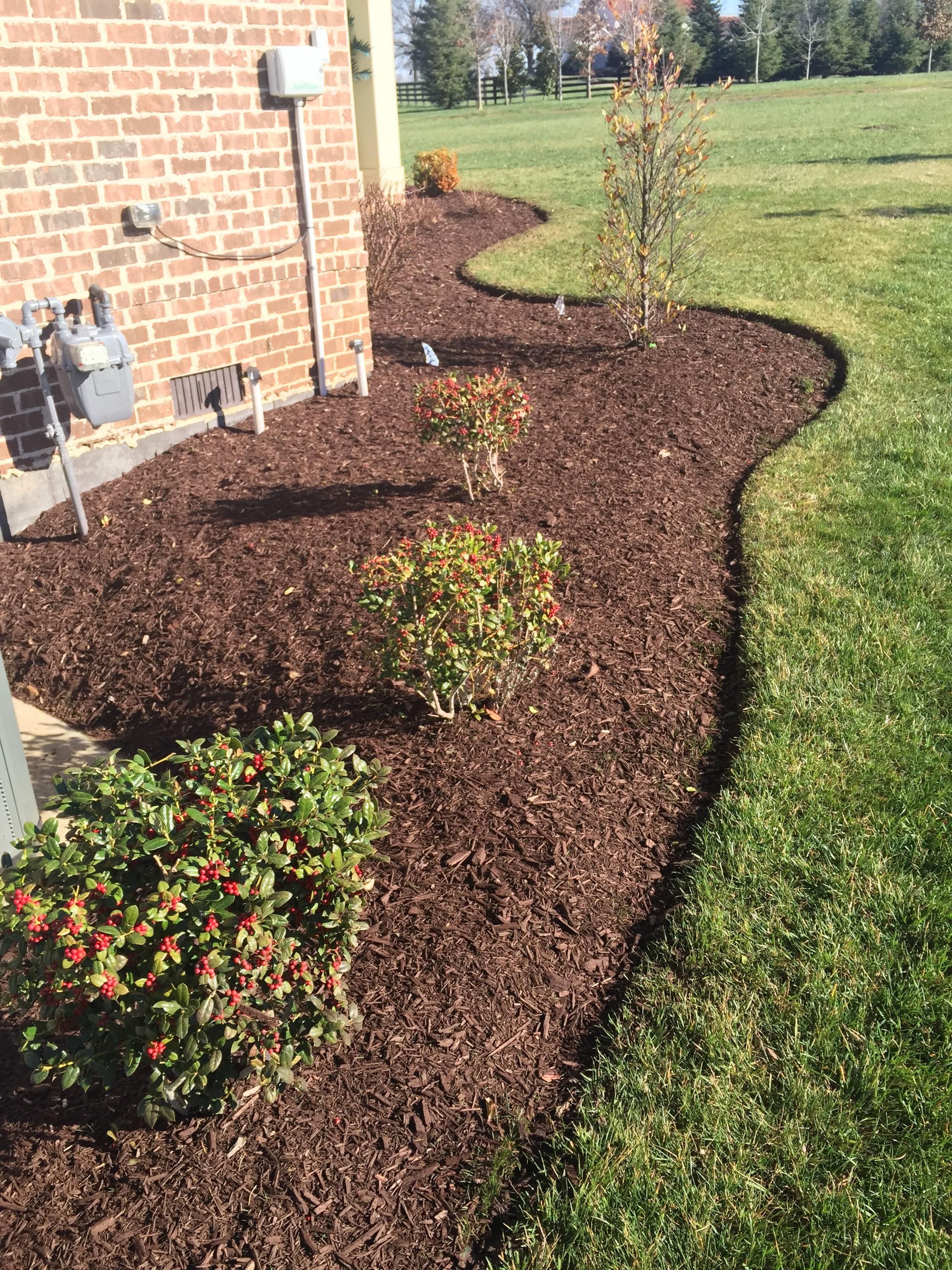  for The Right Price Right Choice Lawn Care Services in Murfreesboro, TN