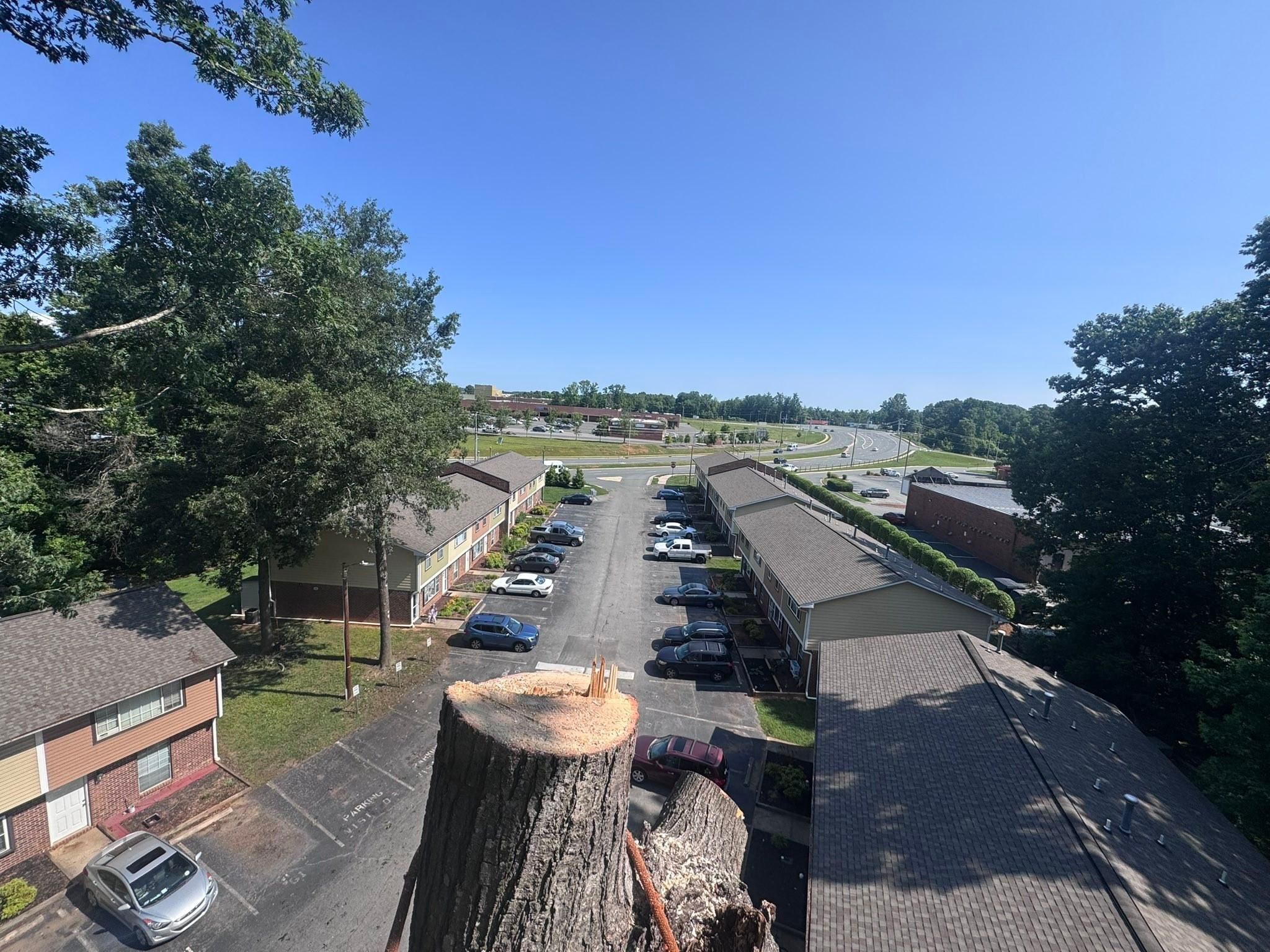  for Diversified Tree Company in Trinity, NC