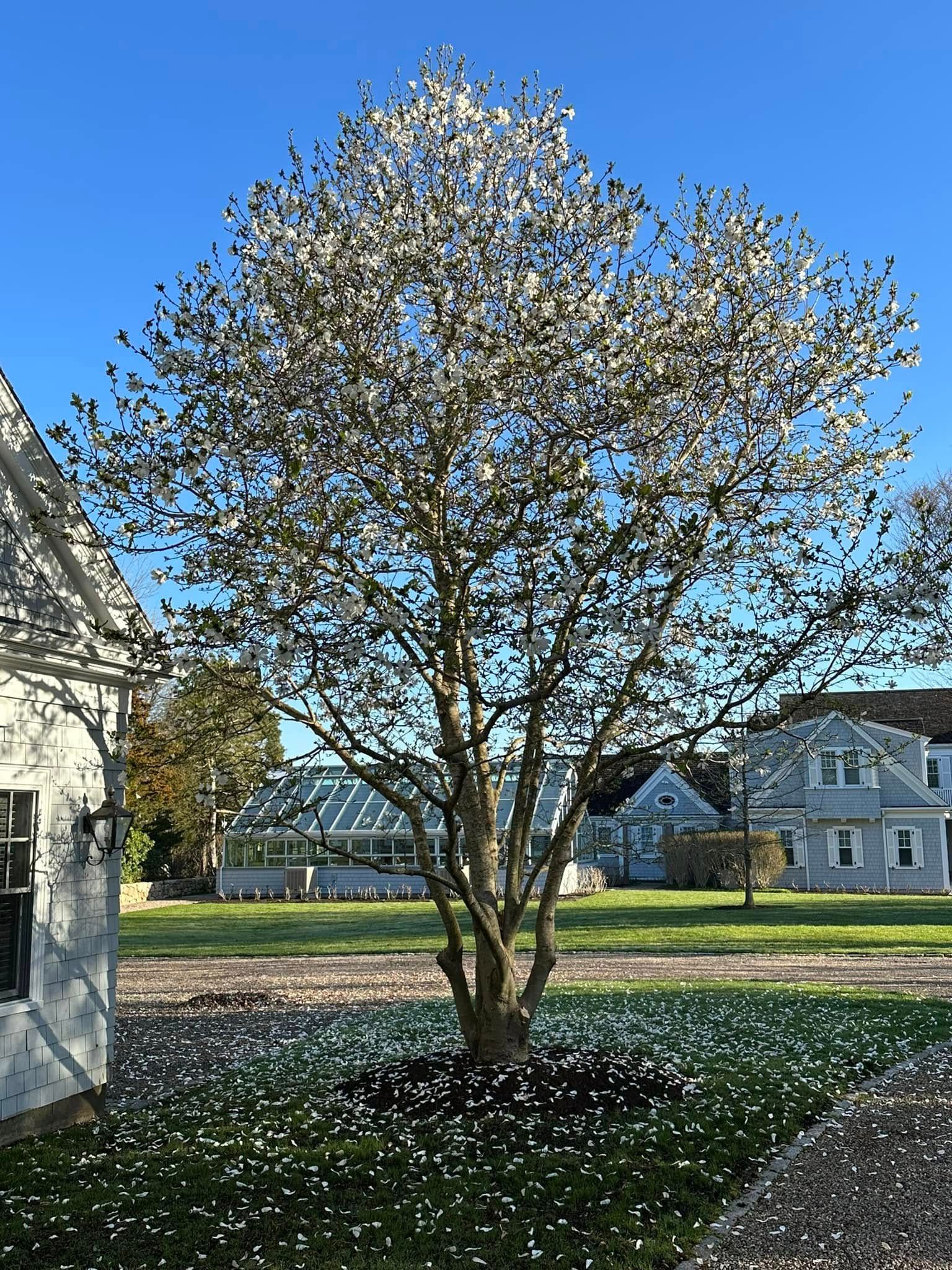  for RB Coastal Services in Sandwich, MA