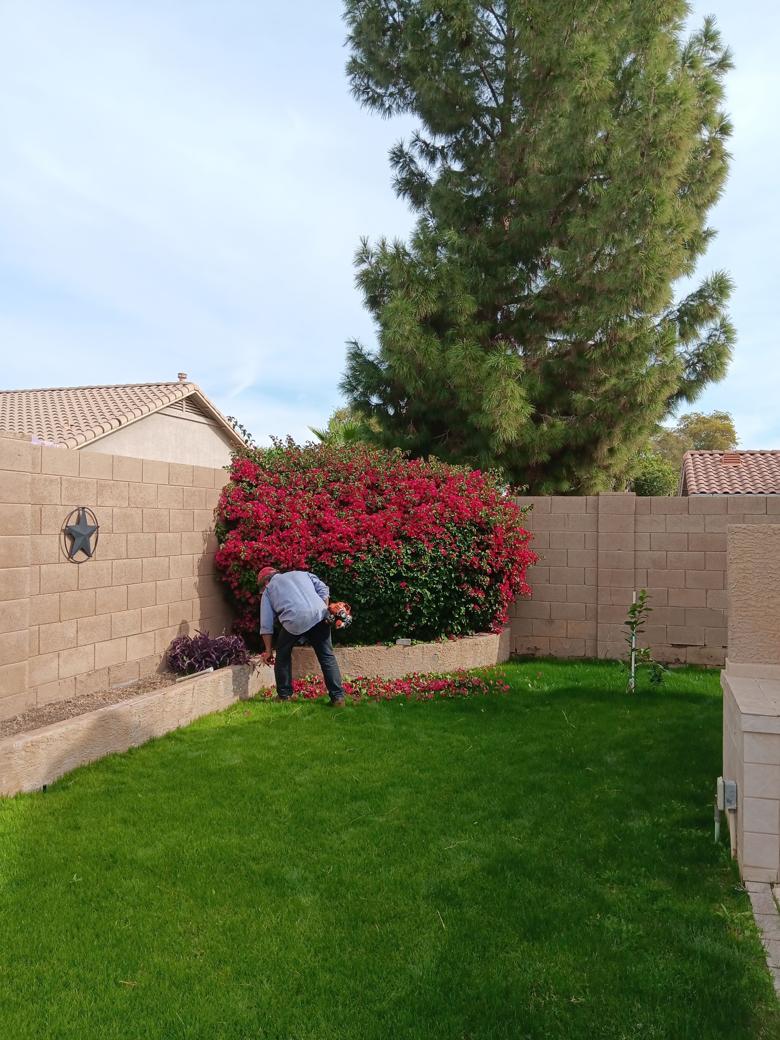  for Family Landscaping in Phoenix, AZ