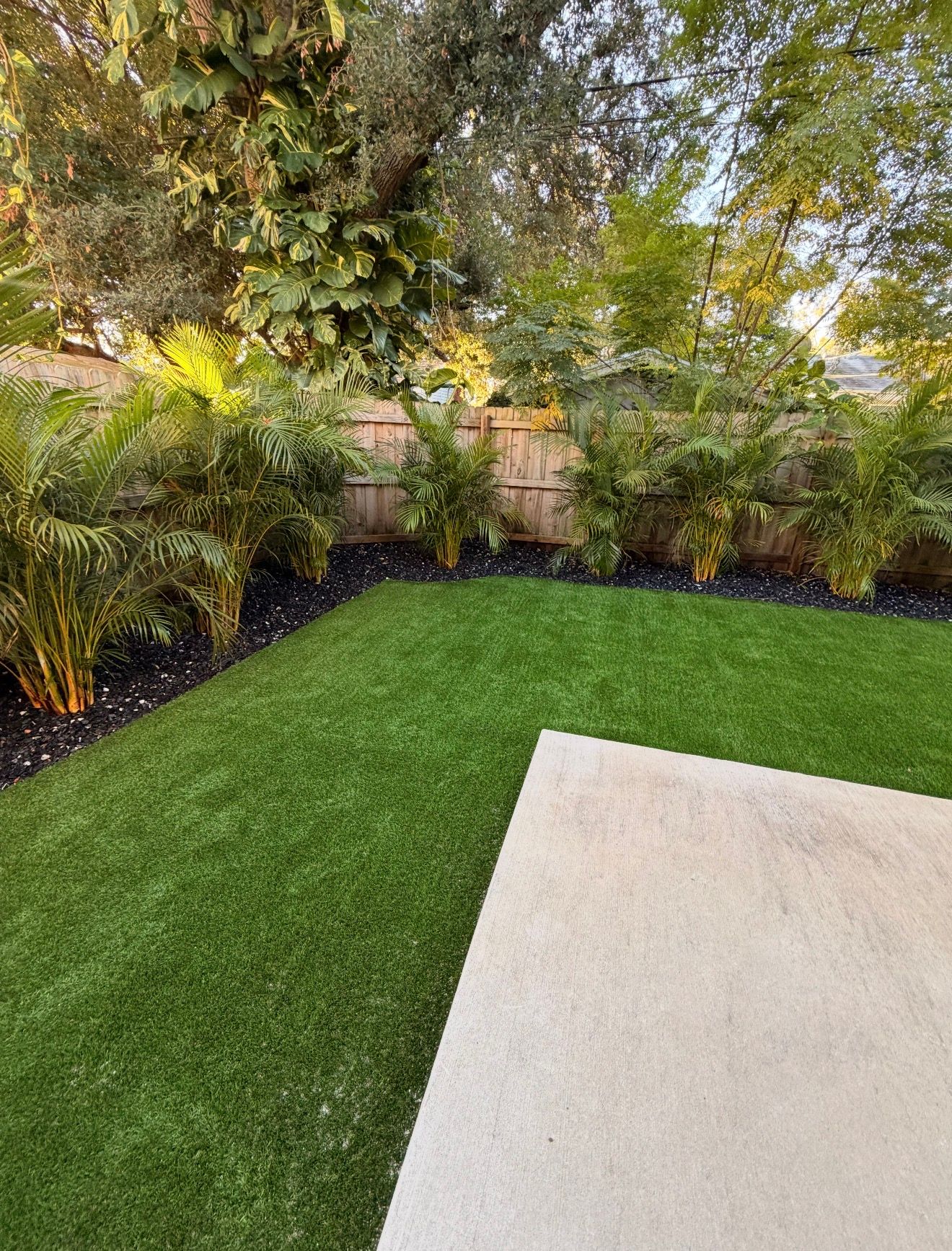  for Oceanfront Landscape in St. Petersburg, FL
