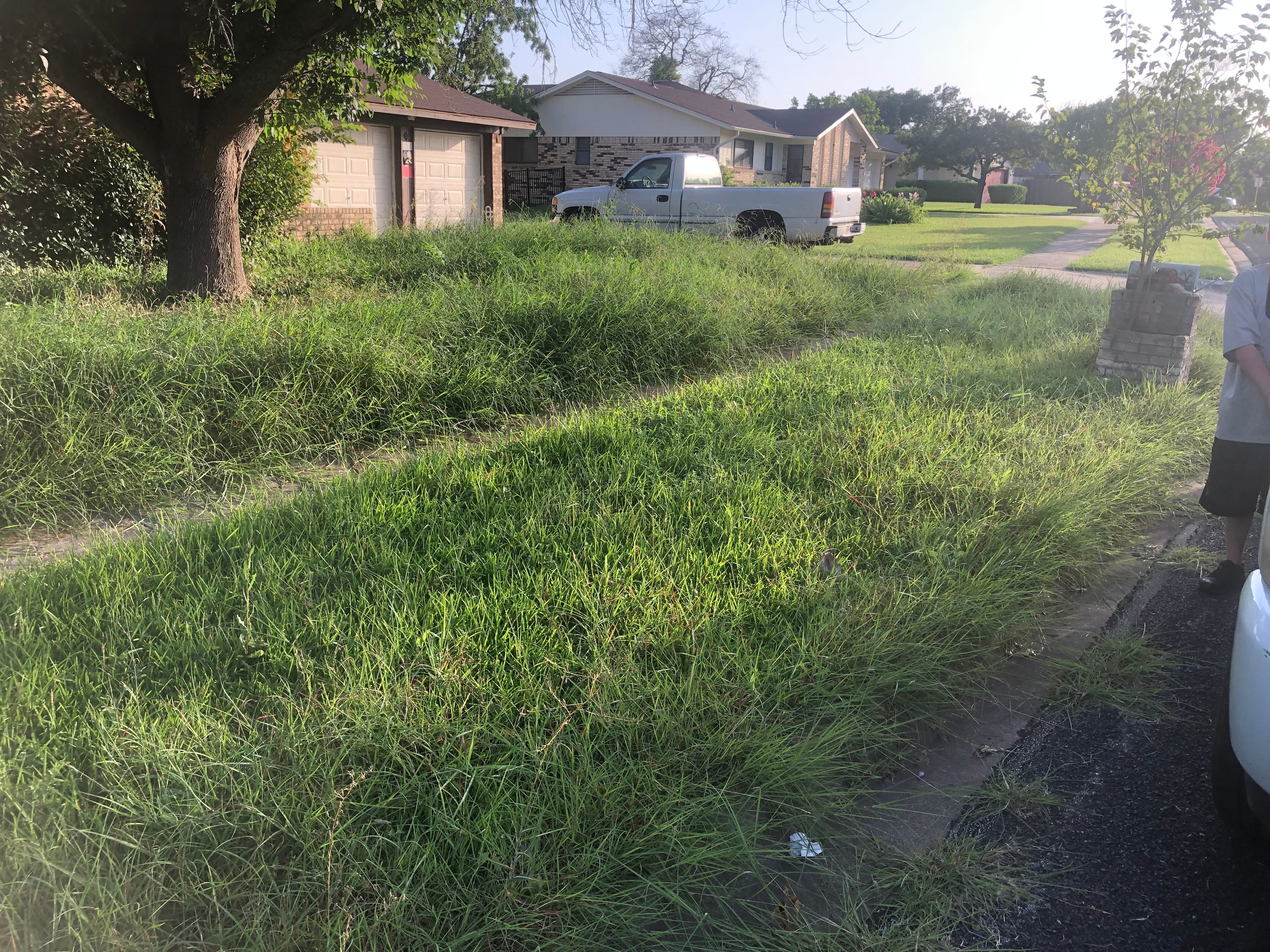  for D’s Lawncare in Killeen, TX