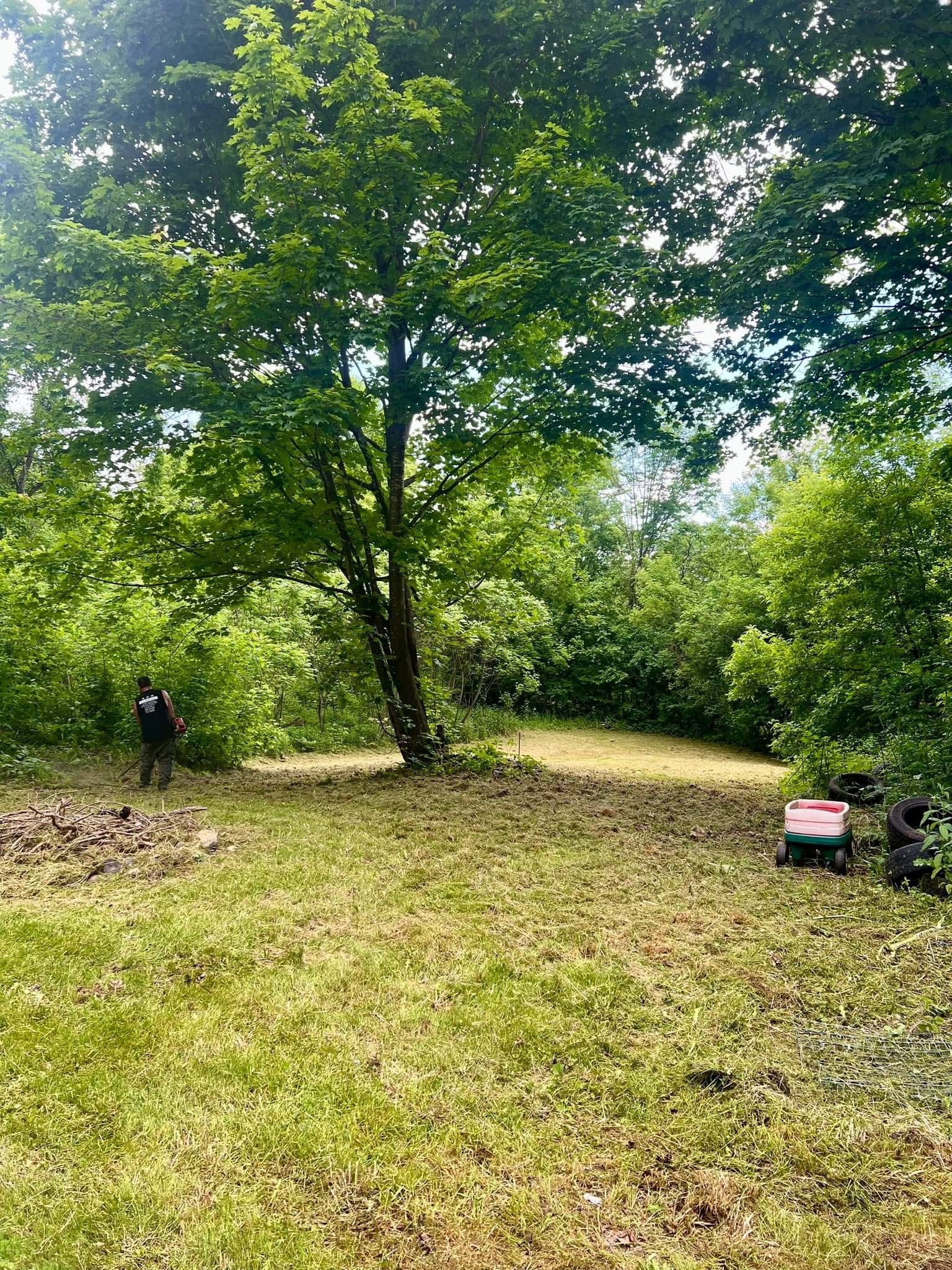 All Photos for Bishop’s Property Maintenance in Franklin, VT