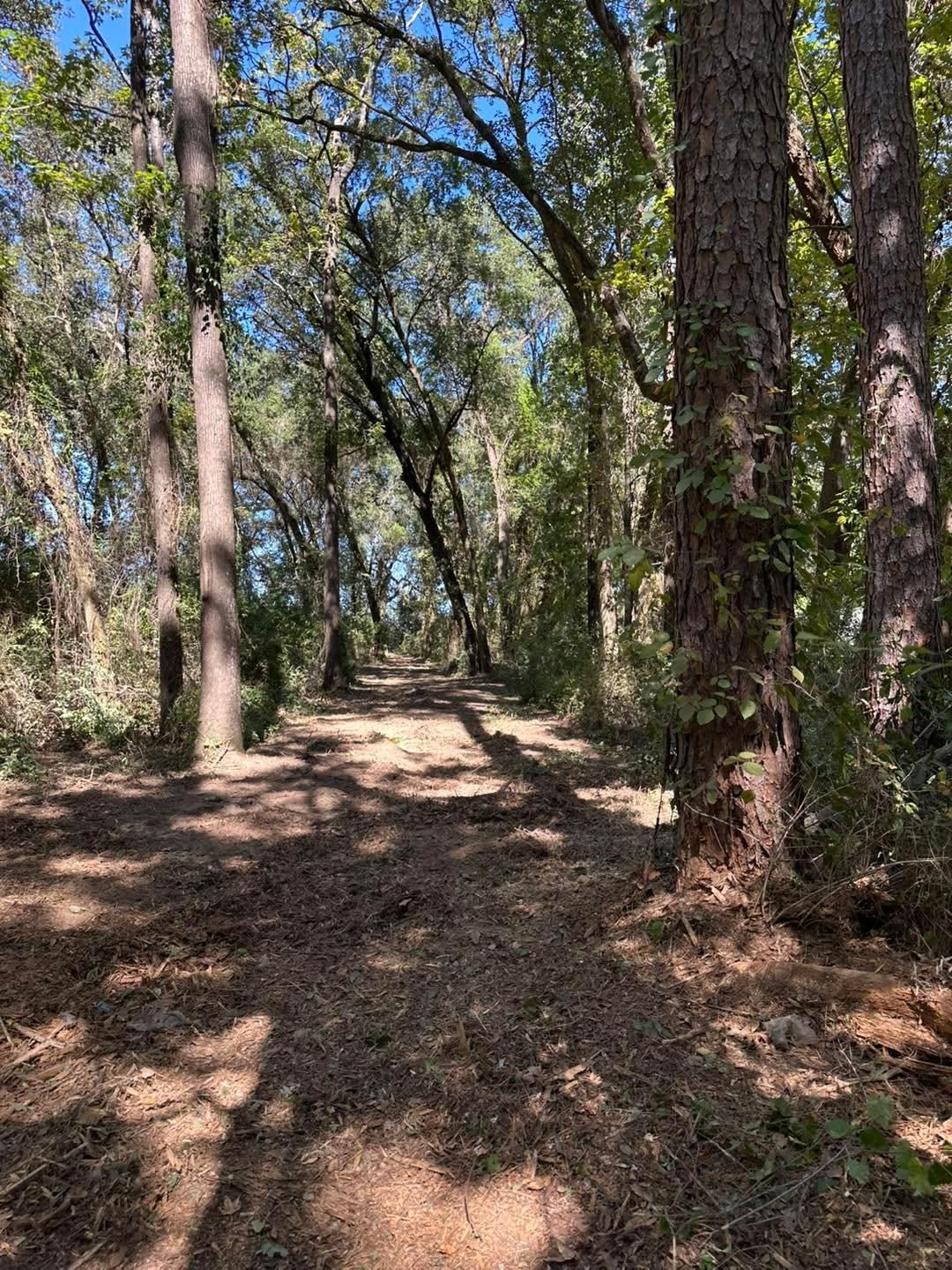  for White’s Land Maintenance in Milton,, FL
