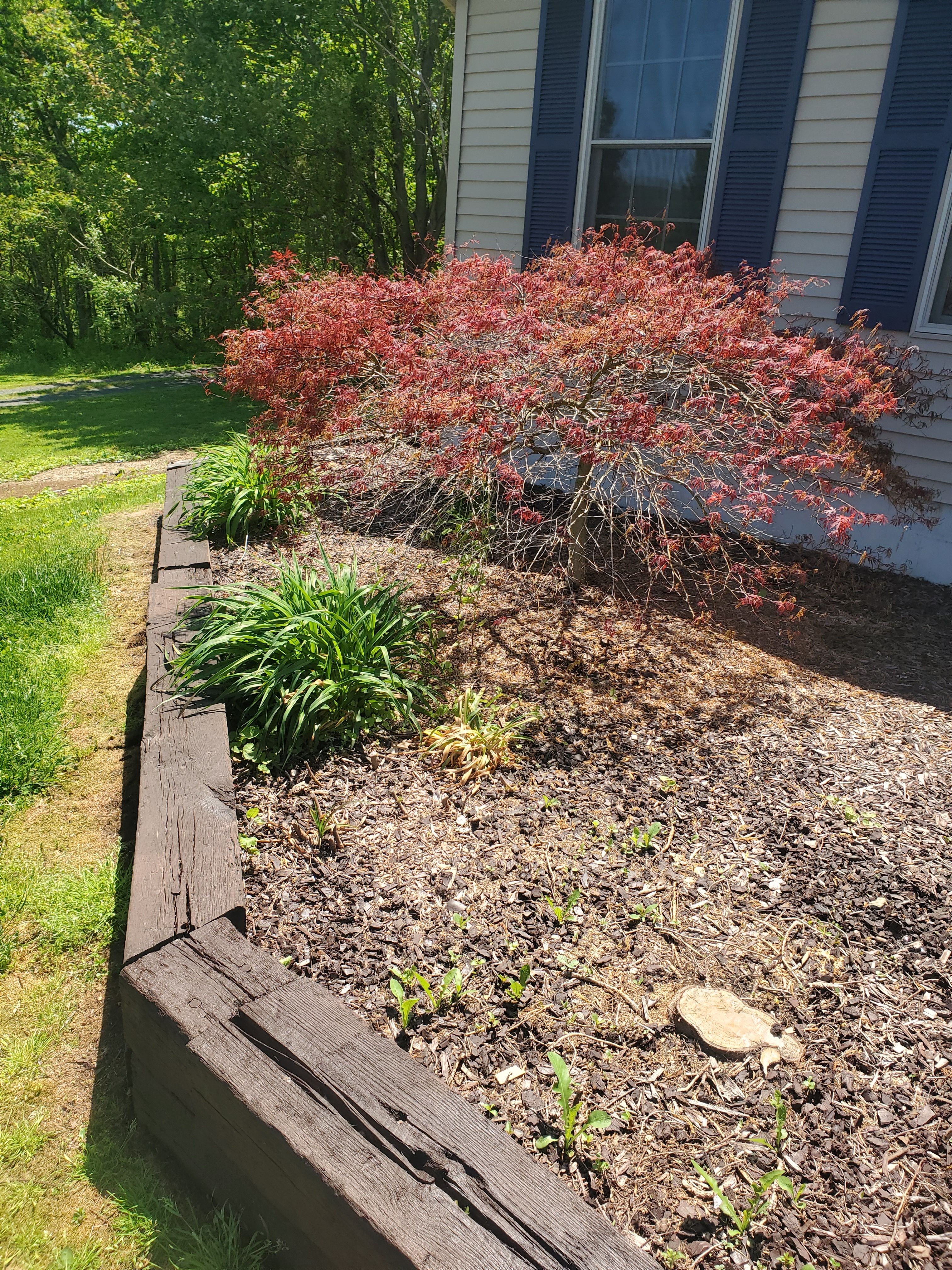  for Down Home Landscaping in Stillwater, PA