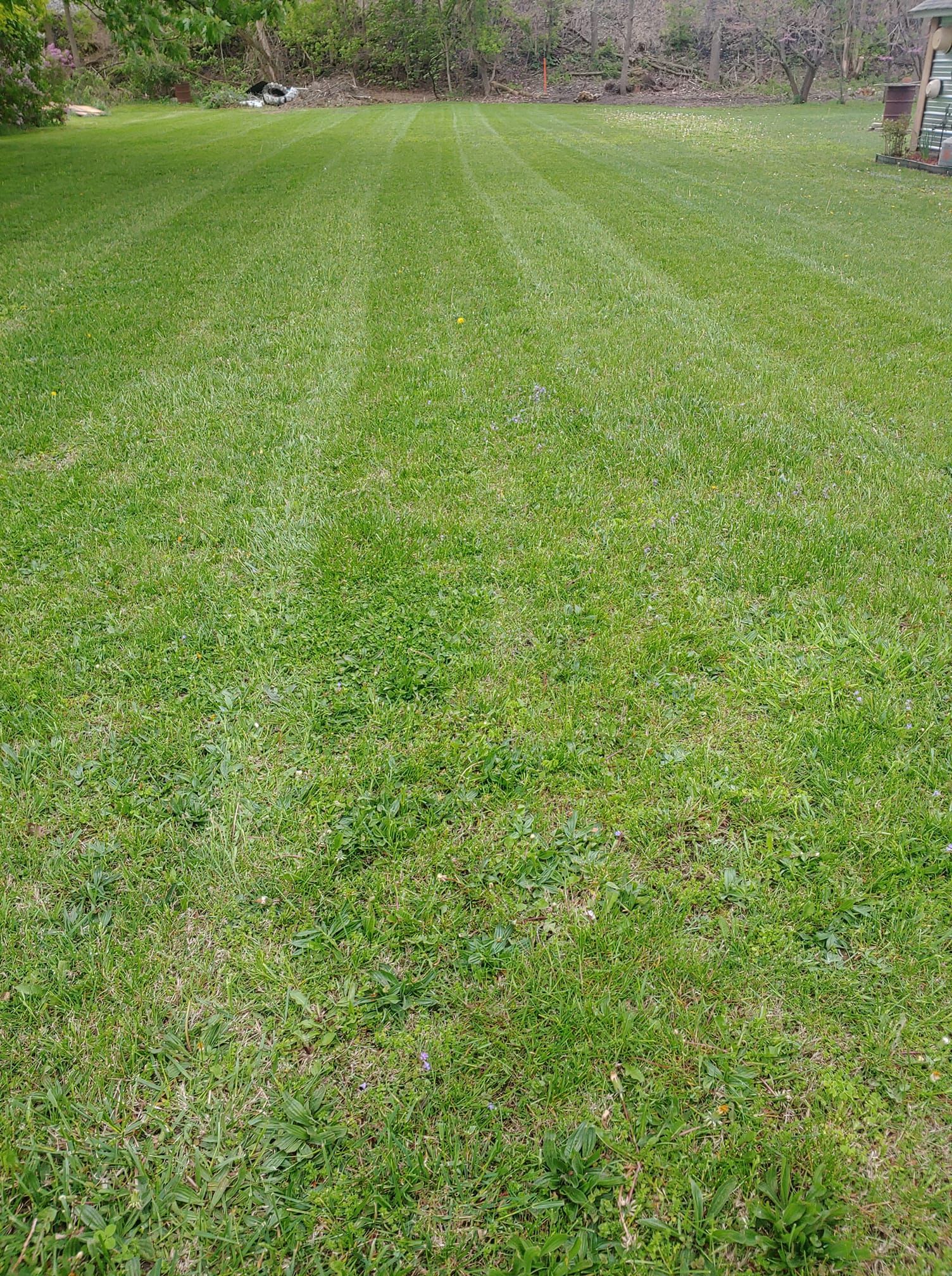  for R&M Lawn Control in Defiance, OH