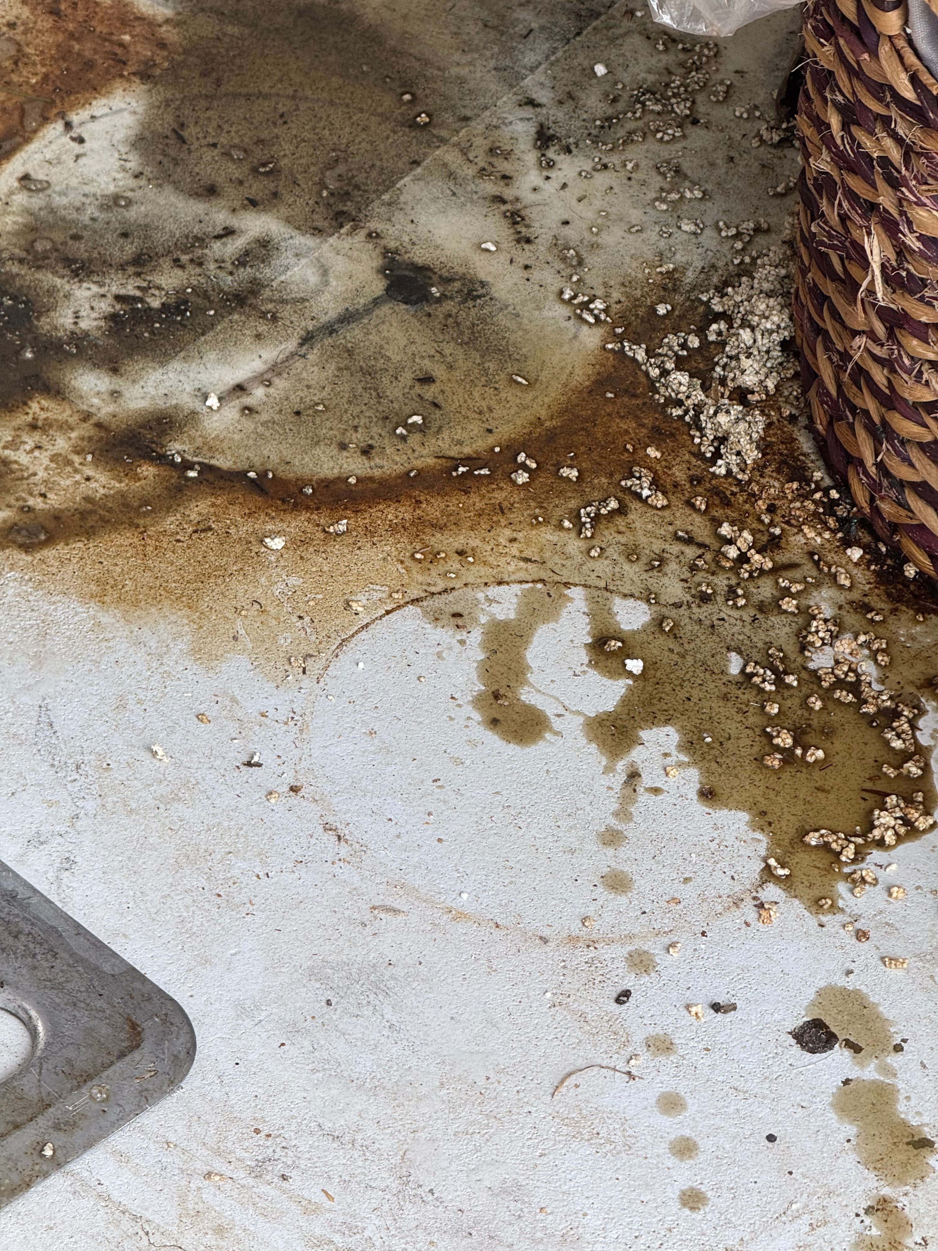  for N&D Restoration Services When Disaster Strikes, We Come In in Cape Coral,  FL