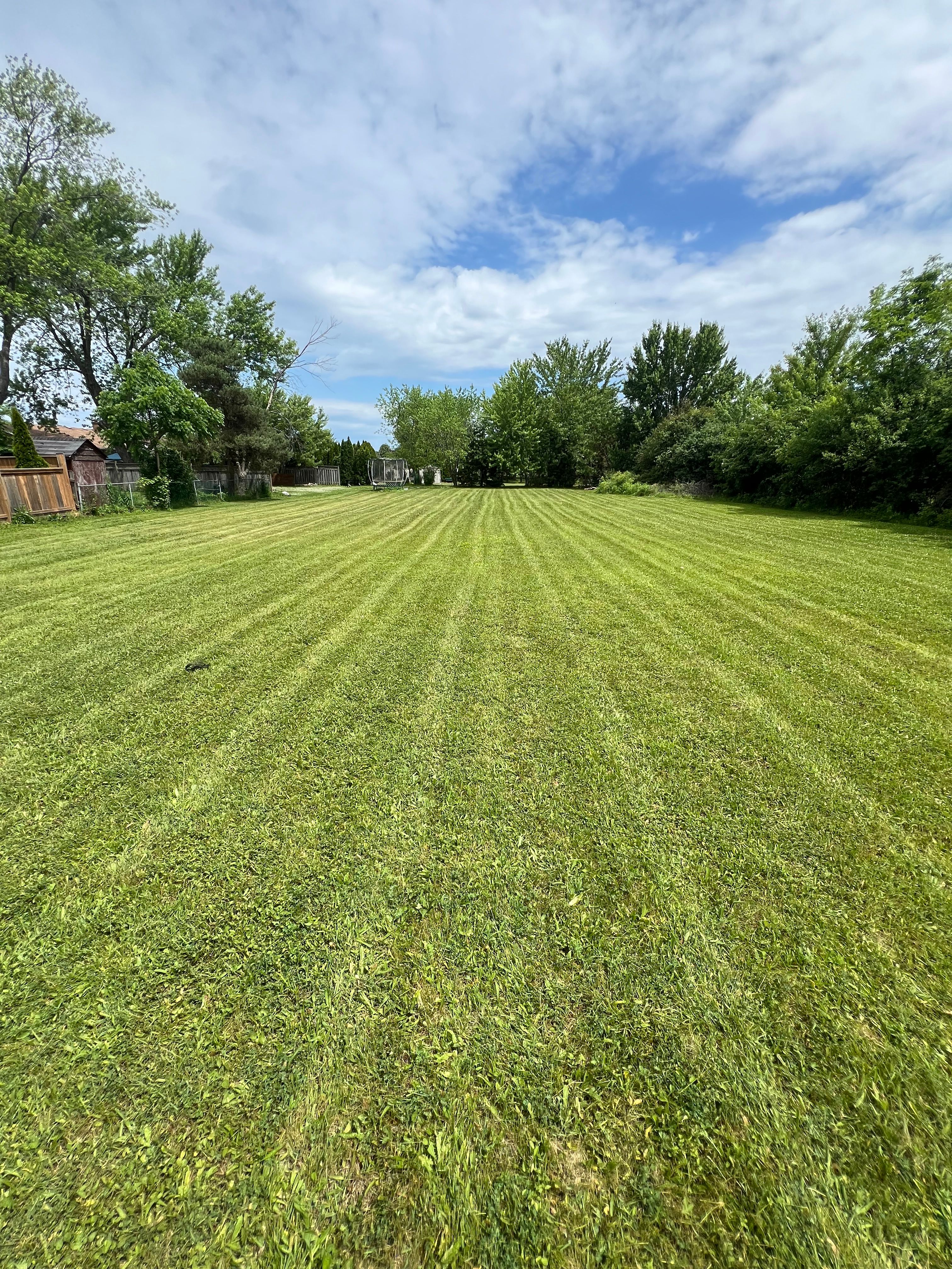  for CMN Exterior Maintenance in Hamilton, ON