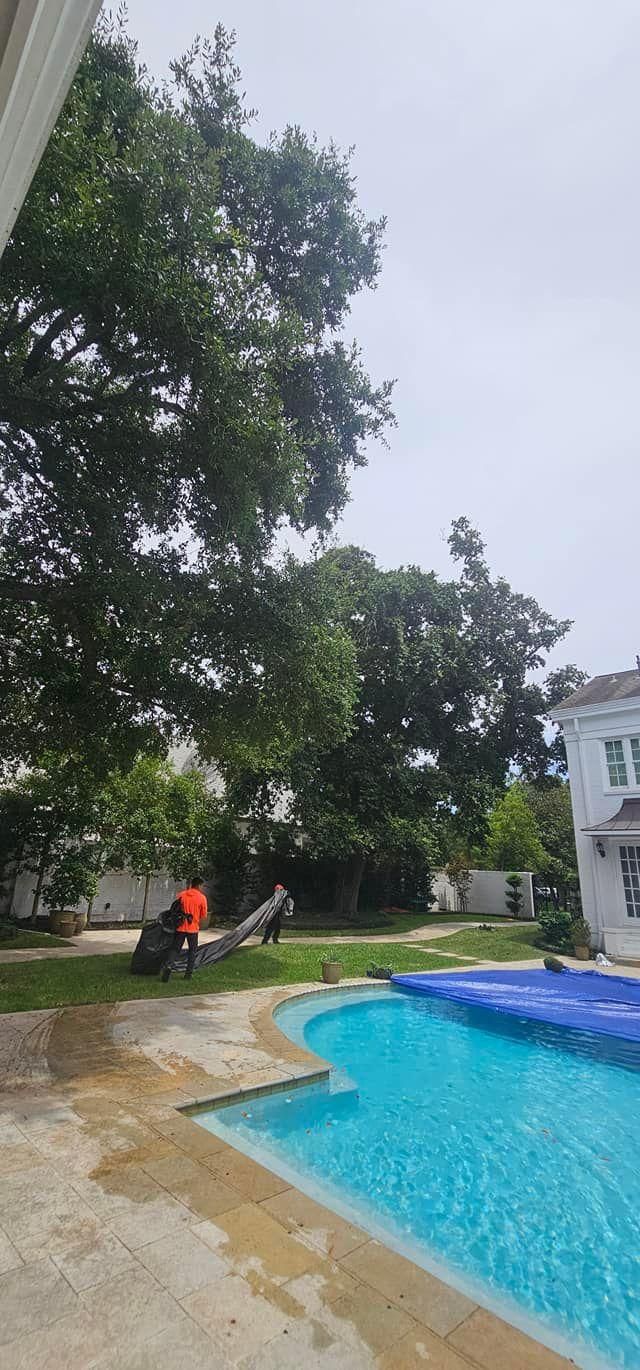  for Servin's Tree Care  in Houston, TX