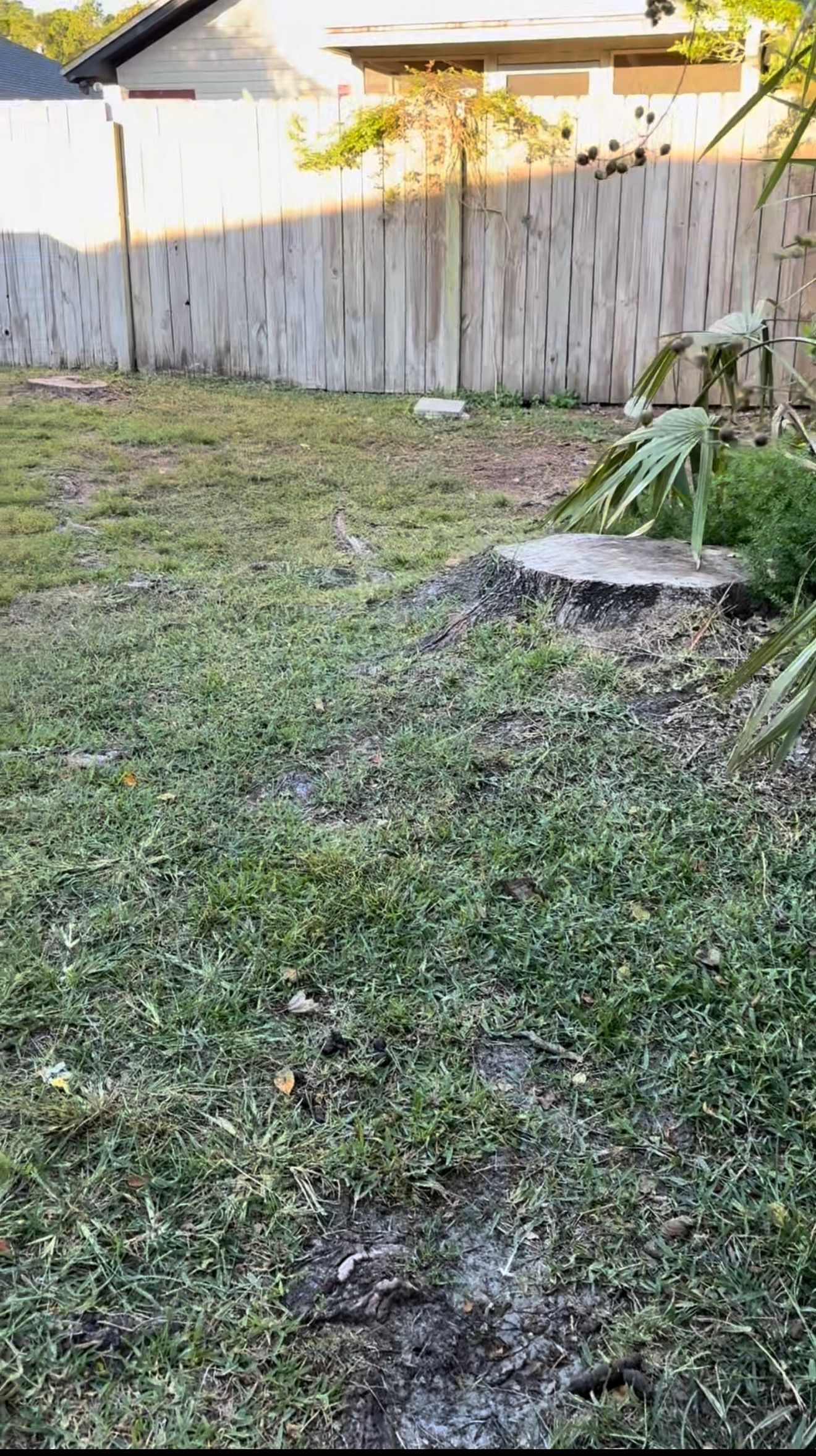  for Whole 9 Yards Services in Green Cove Springs, FL