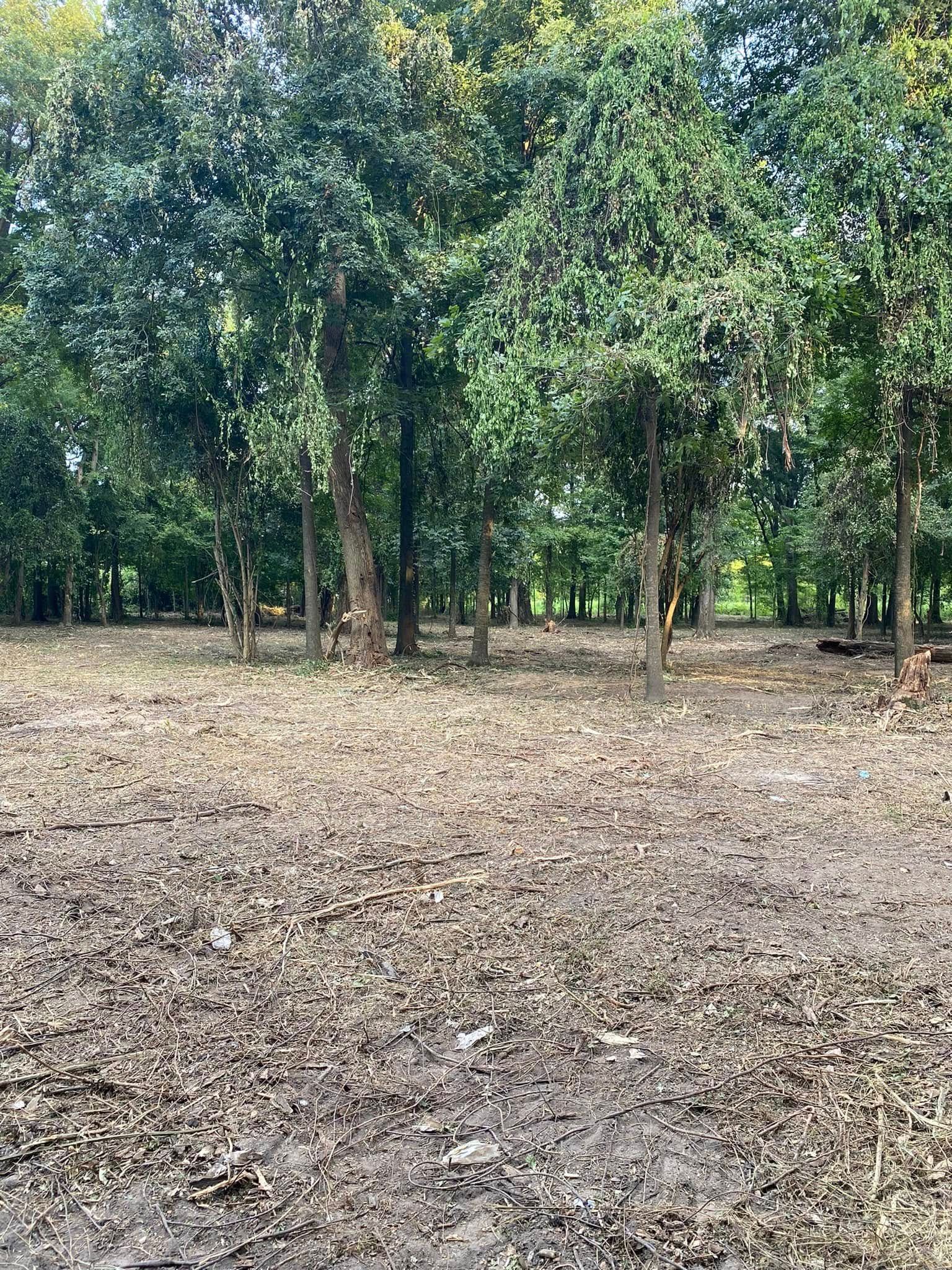  for Daniel's Dumpsters & Land Improvements in Monroe, LA