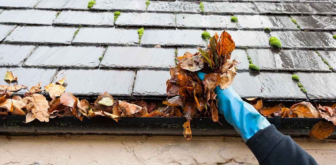  for Cooley’s Exterior Property Solutions  in Jackson, GA