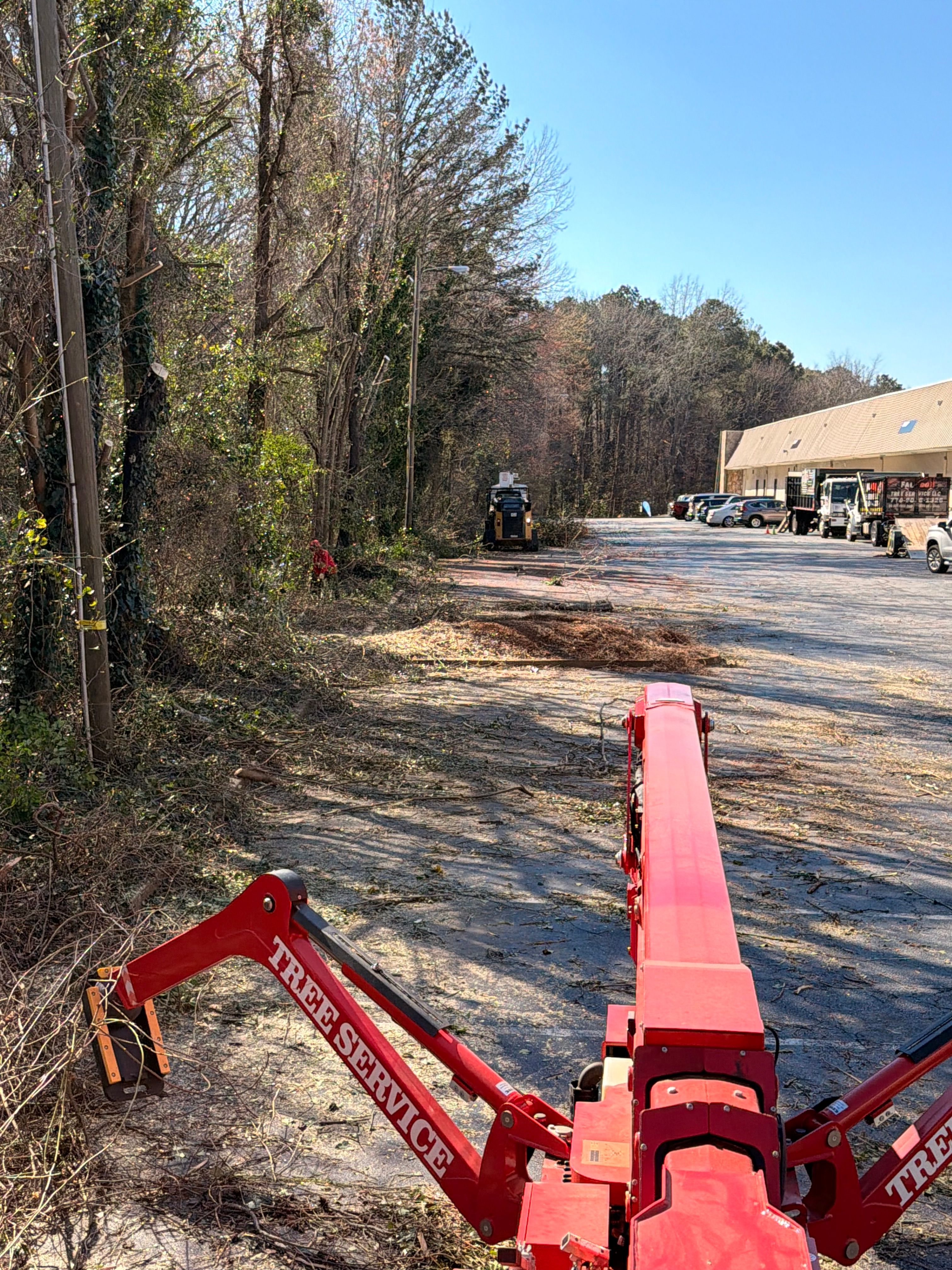 for Falcon stump grinding Tree services in Snellville, GA