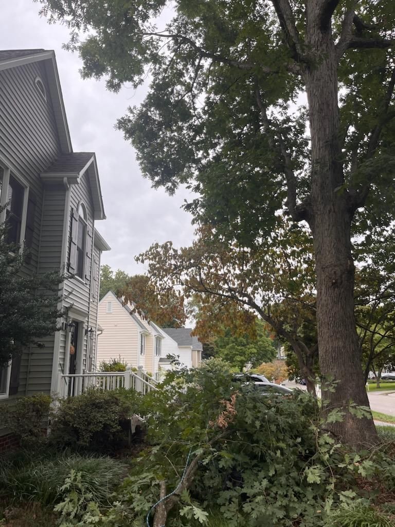  for Ricky's Tree Service & Property Care in Orange, VA
