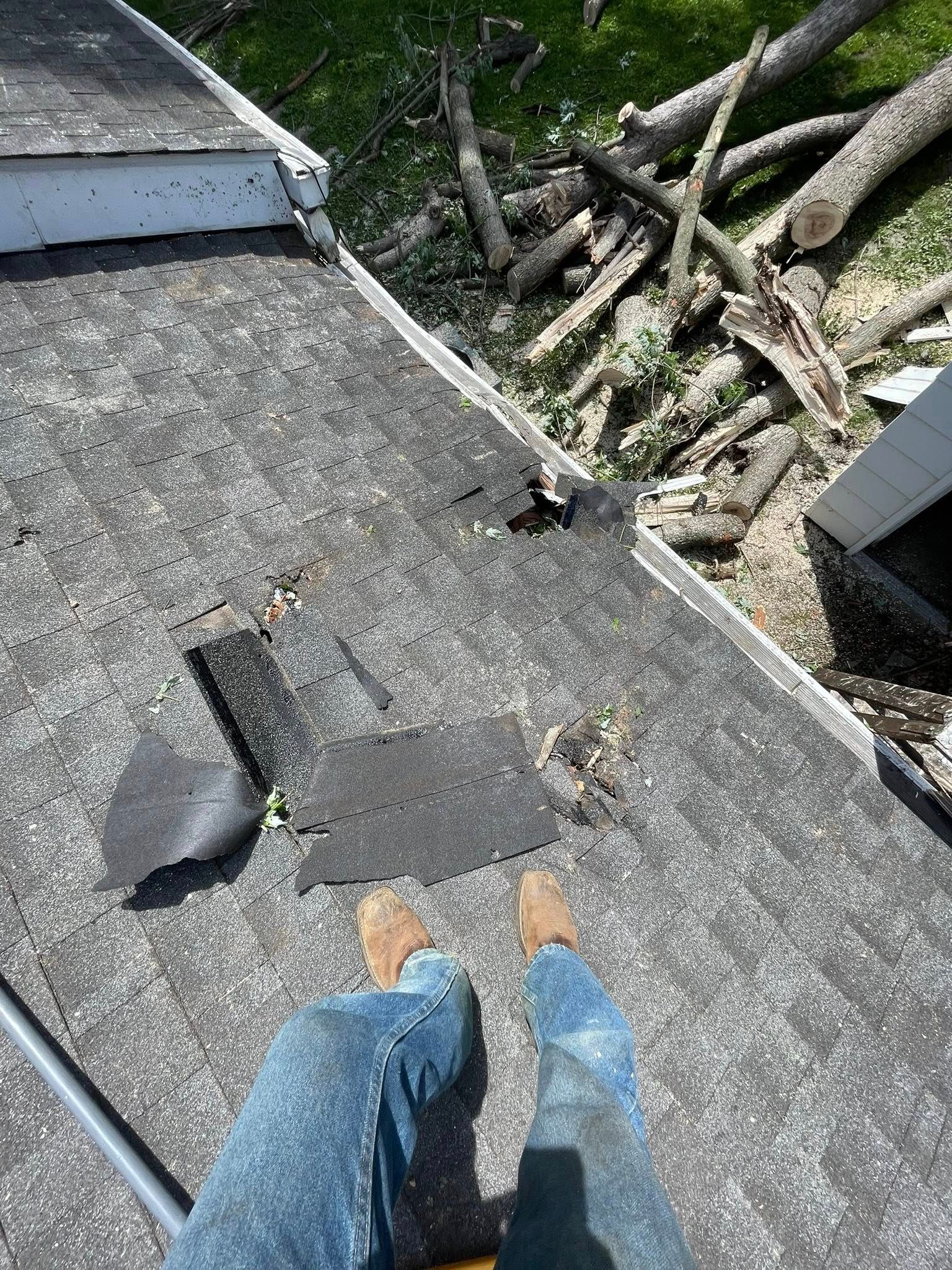  for Hendricks Tree Service in Belleville, IL
