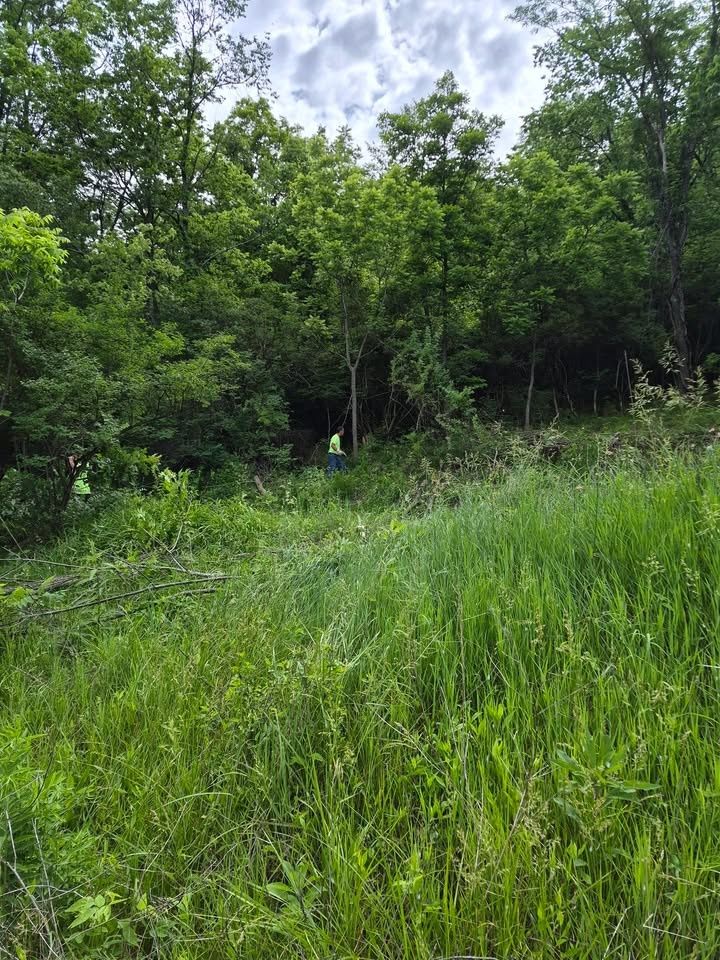  for Carpenter's Tree Service in Aurora, IN
