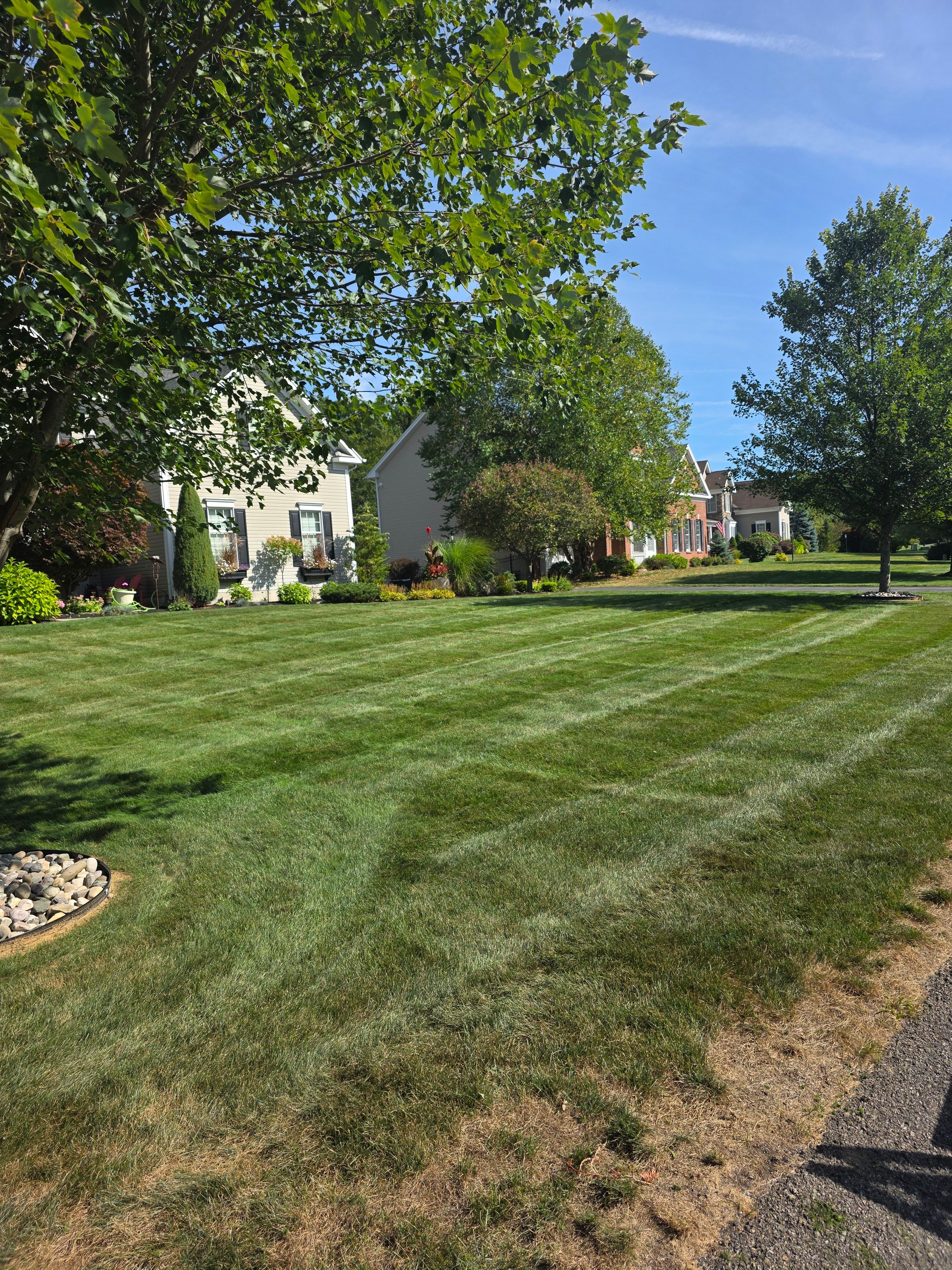  for Sweet Scapes in Ballston Spa, NY