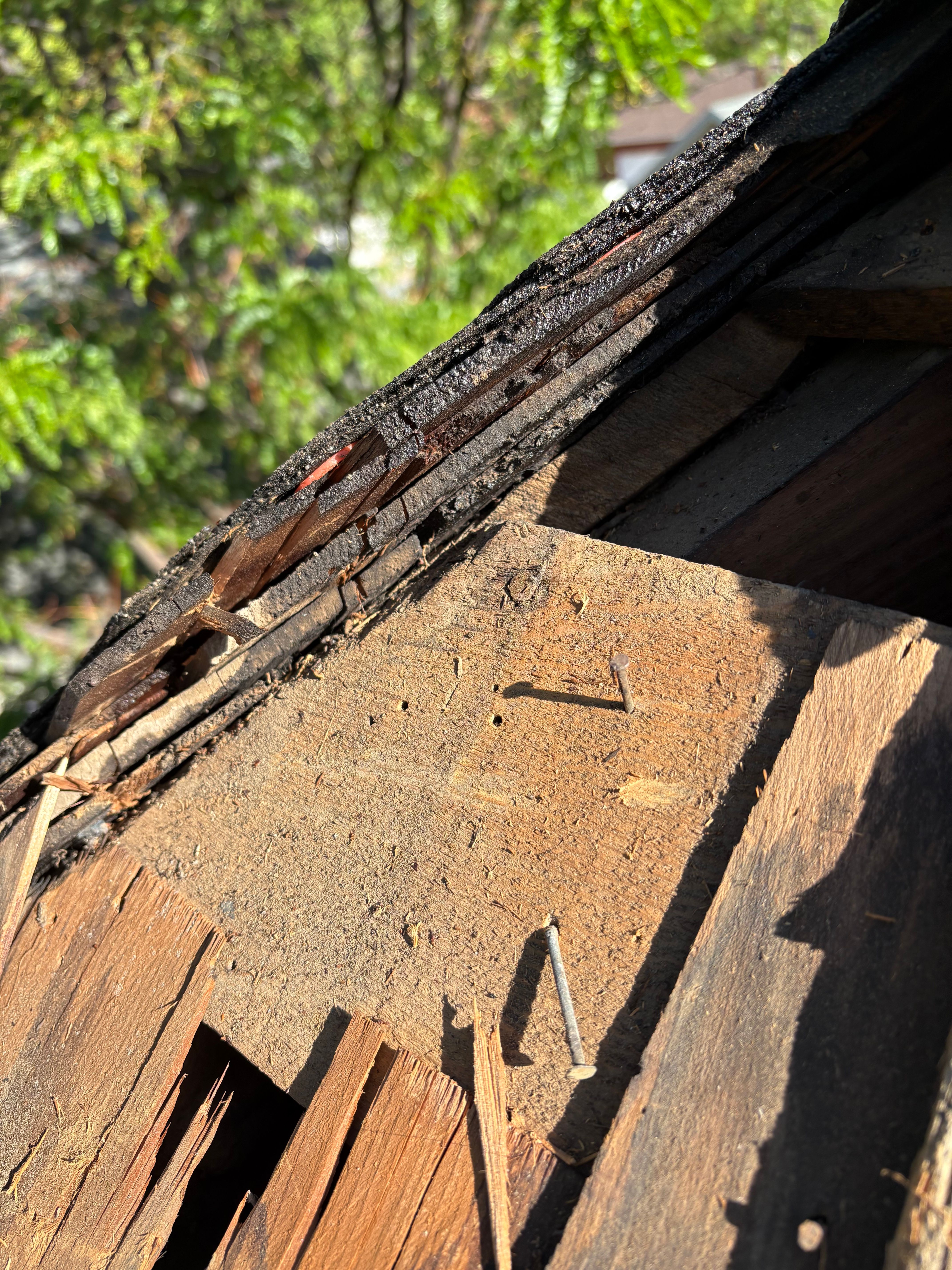 All Photos for Divine Roofing LLC in Severance, CO