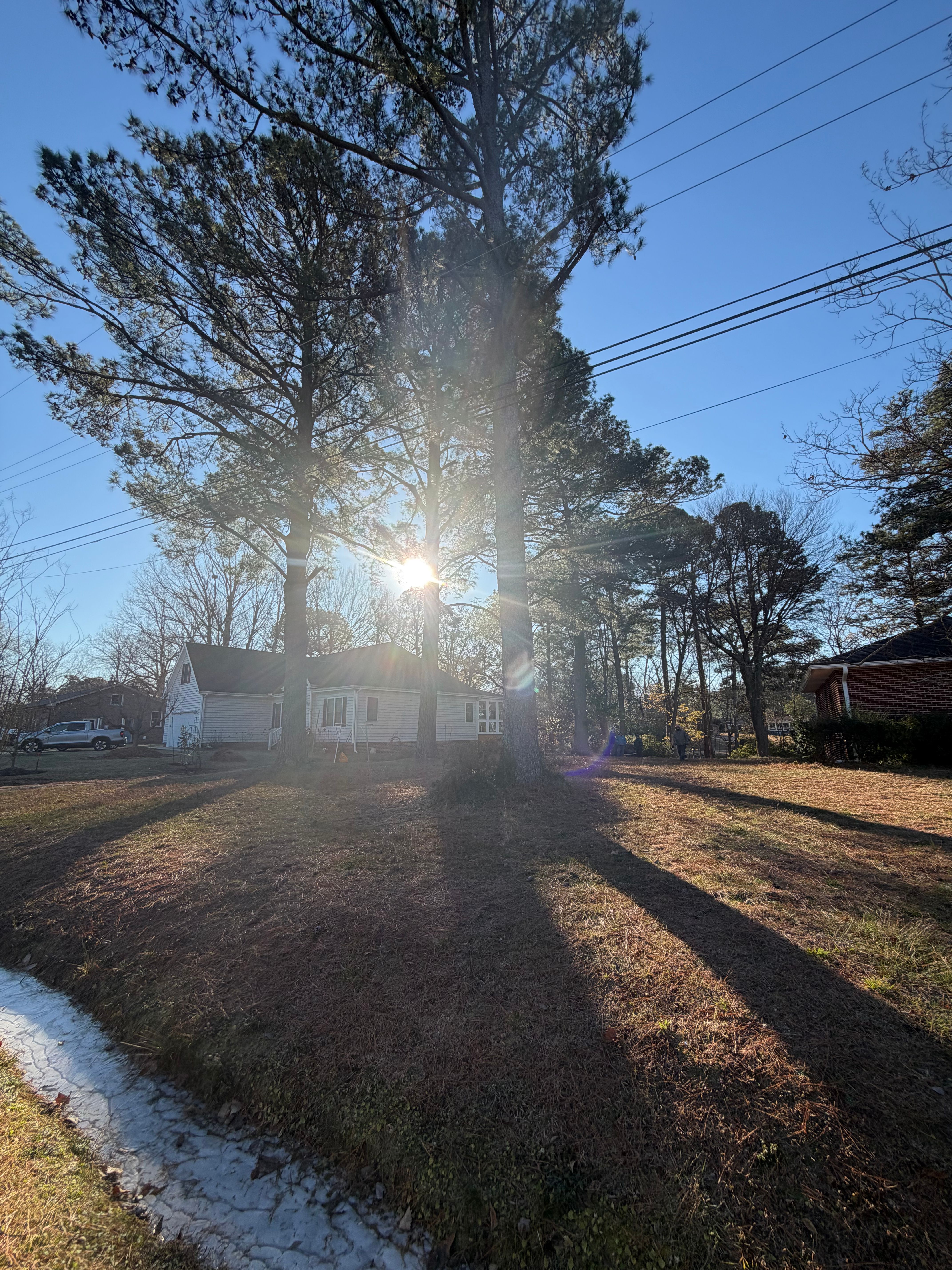  for Tidewater Tree Service in Chesapeake, VA