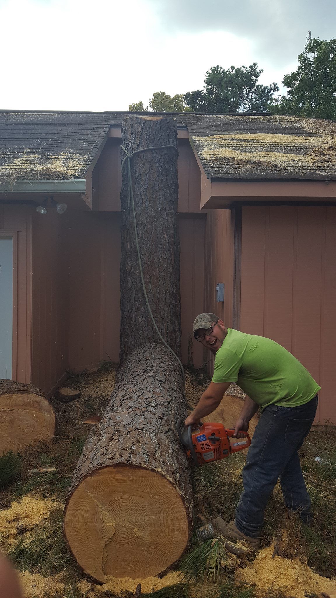  for David's Tree Service in Slidell, LA