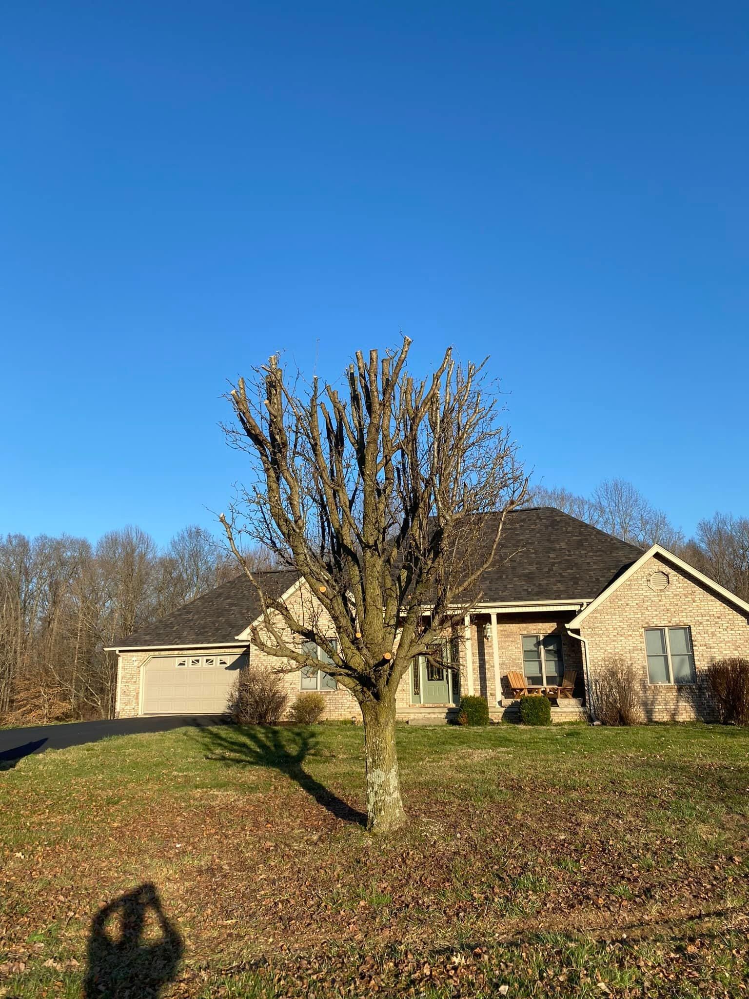 Fall and Spring Clean Up for Atwood’s Tree Care in Liberty,  KY