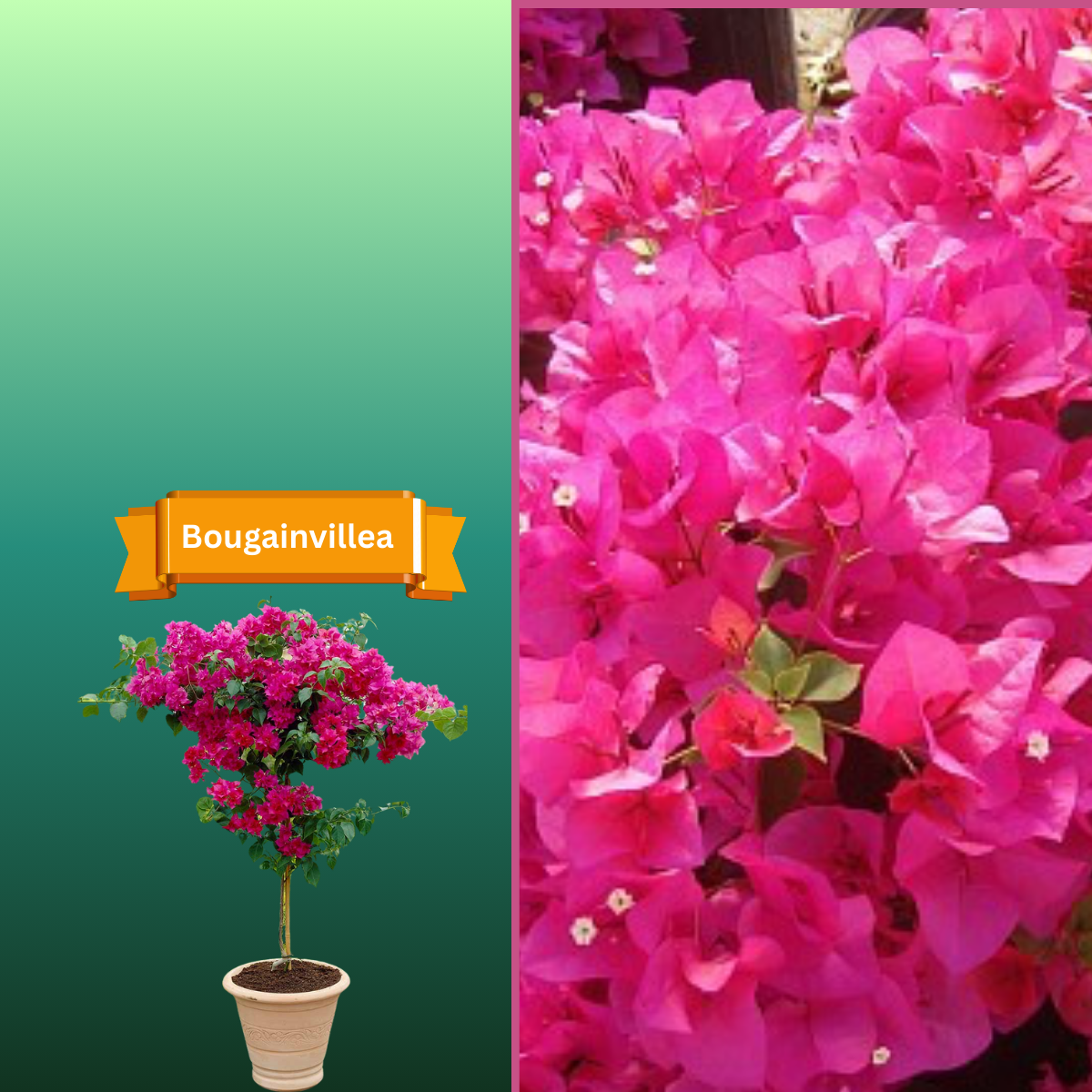  for R.B. & Company in Belleview, FL