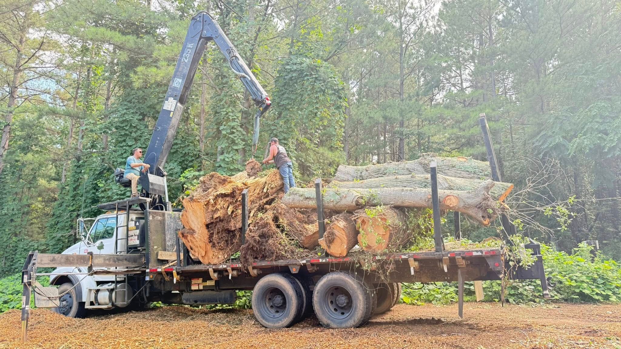  for Owens Tree Services in Inman, SC