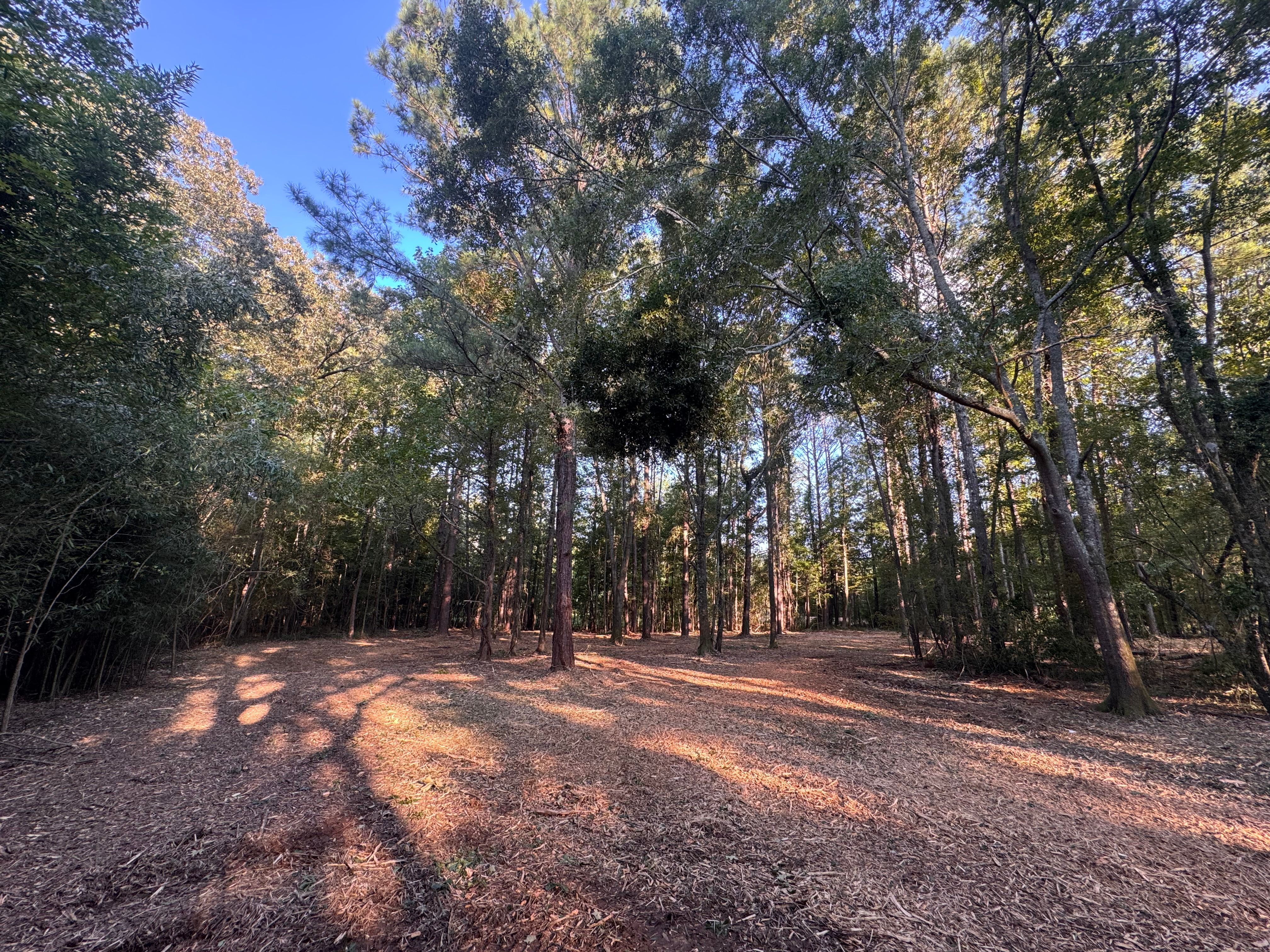  for Bryant's Land Services in Forsyth, GA