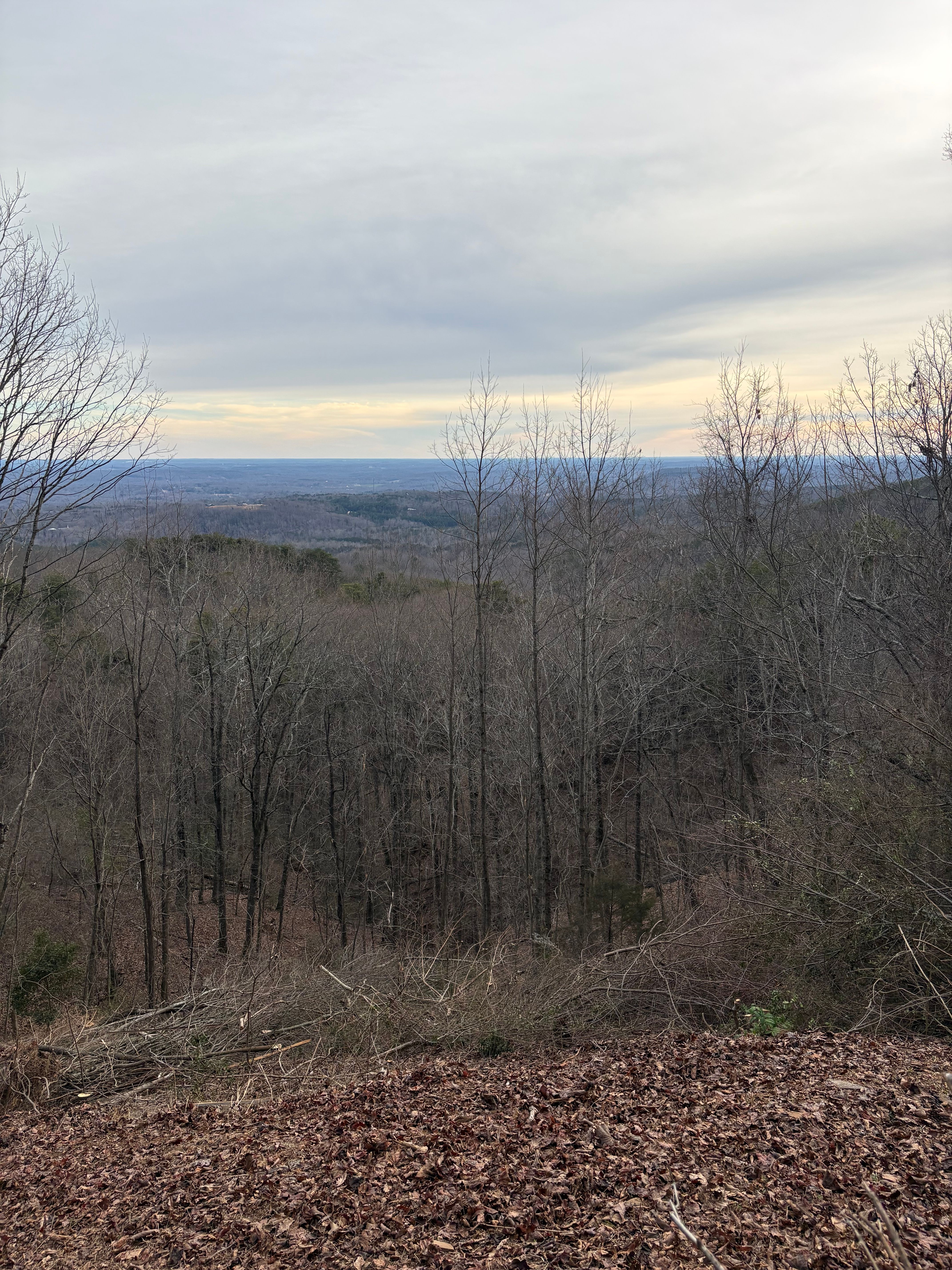  for Taylormade Lawn Management in Clarkesville, GA