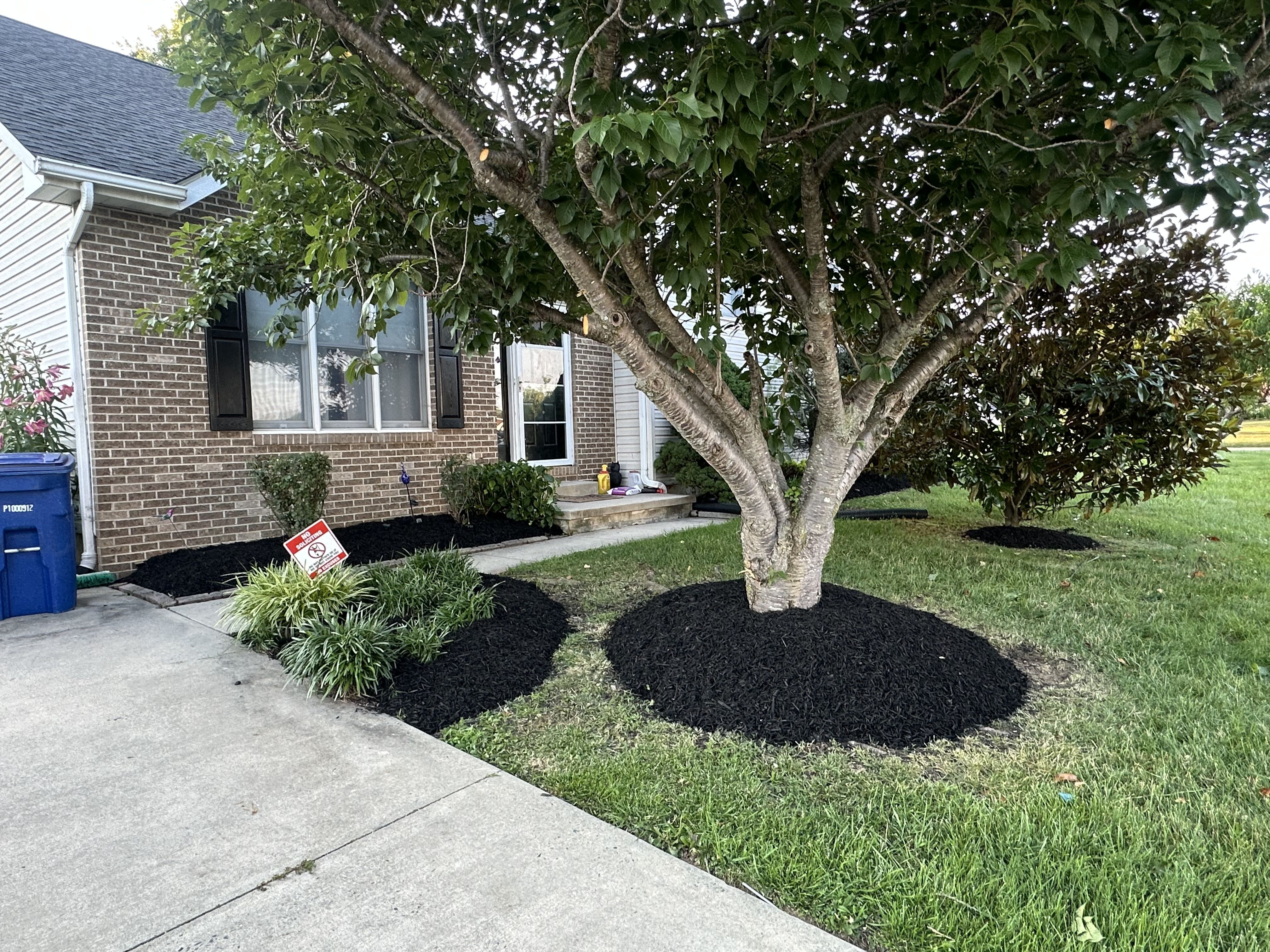 All Photos for A Better Lawn Service LLC in Bel Air, MD