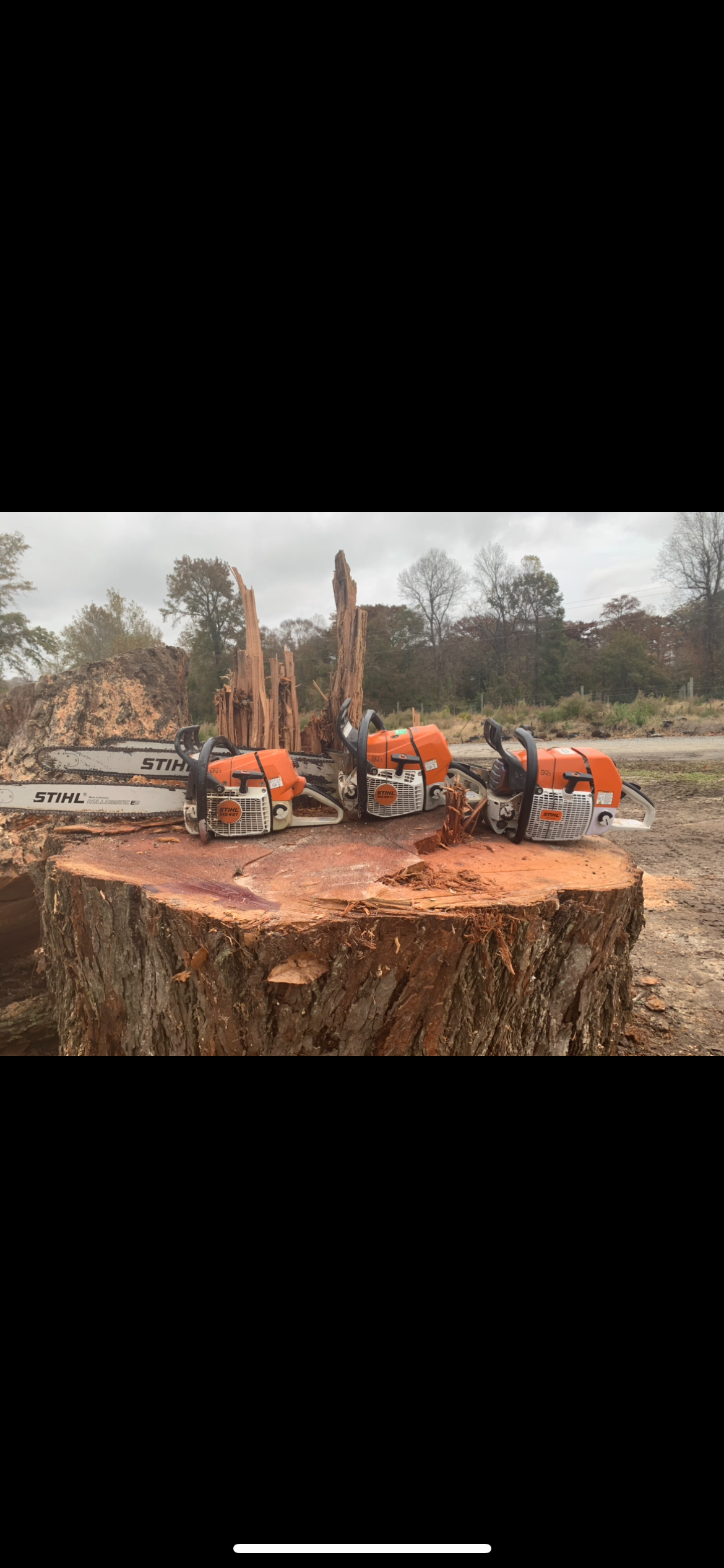  for James River Tree Service in Suffolk, VA