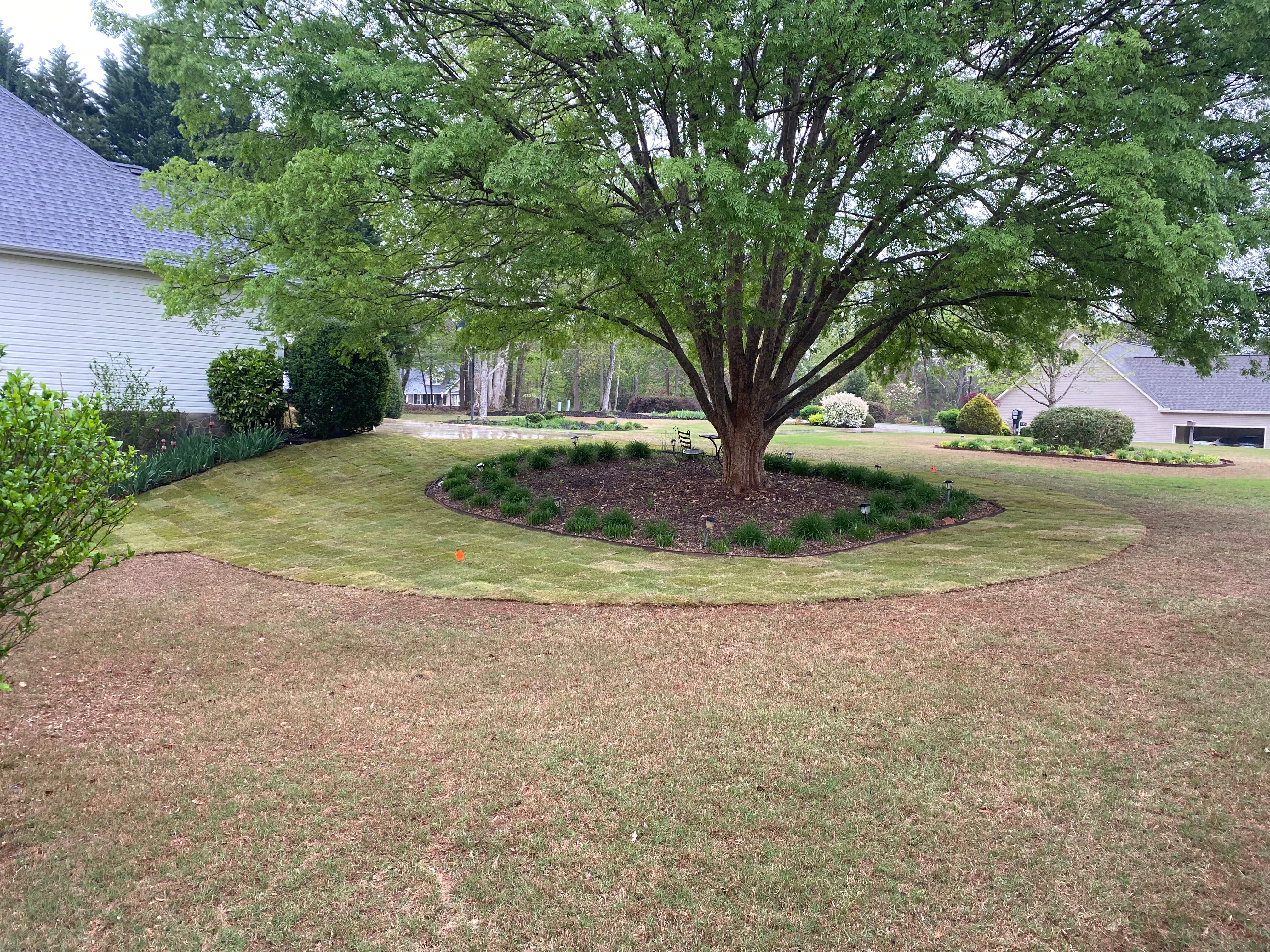  for Taylormade Lawn Management in Clarkesville, GA