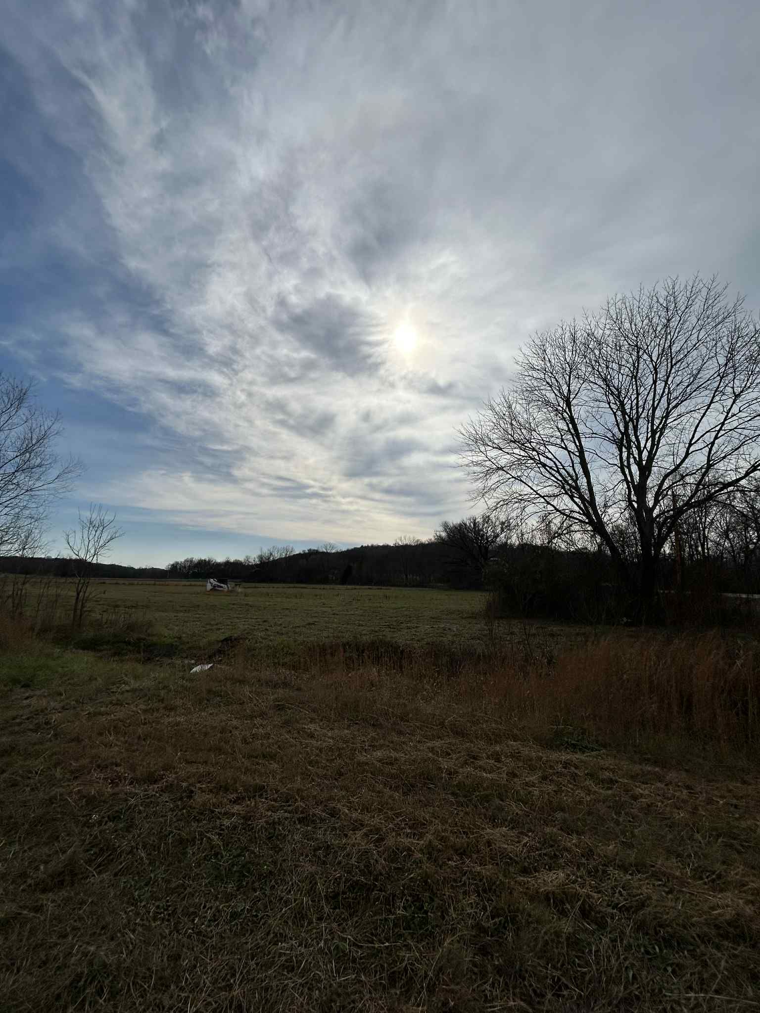  for Z's Land Management & Forestry Mulching in Smithville, TN