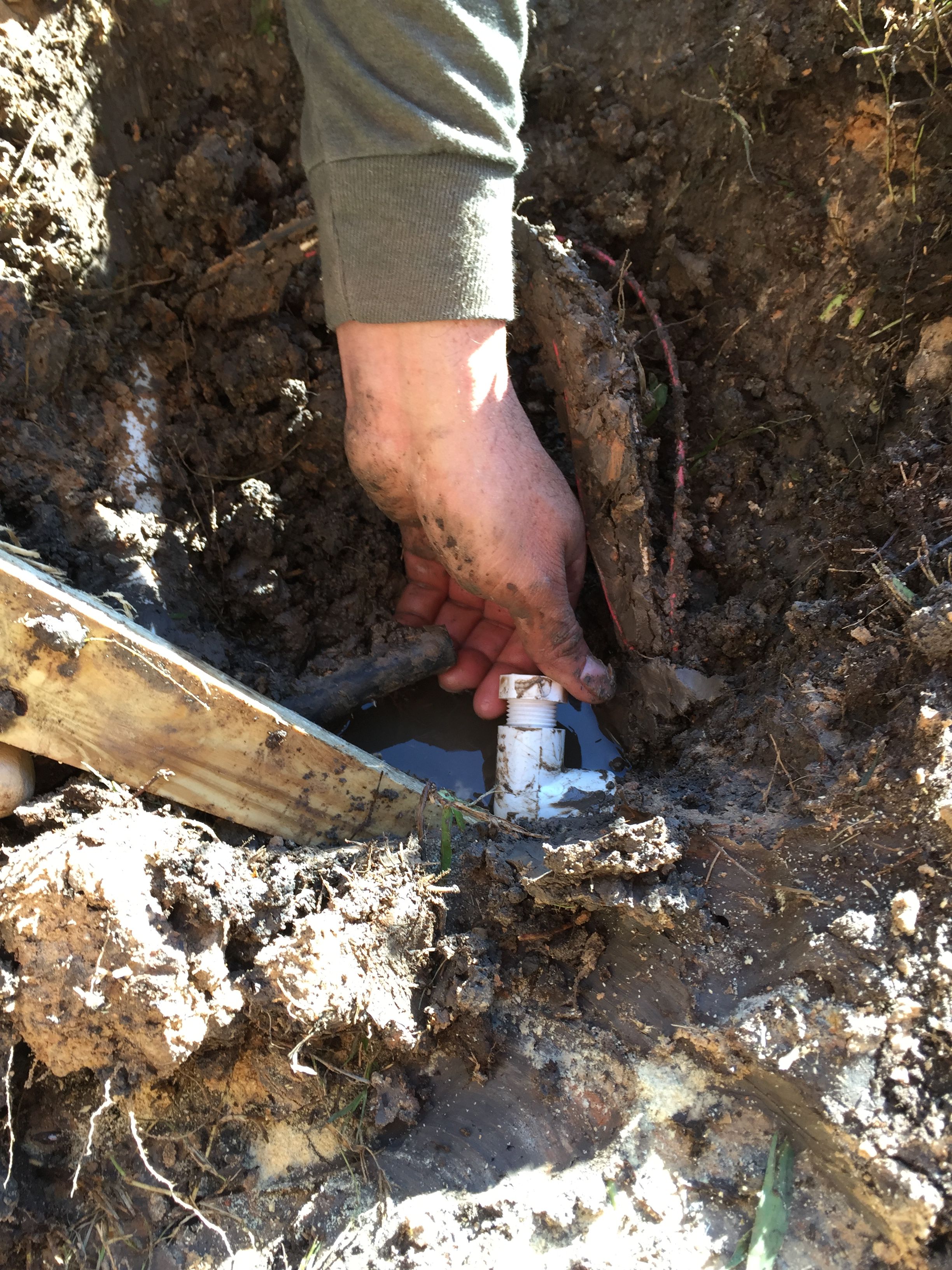  for Texas Curb N Borders in Houston, TX