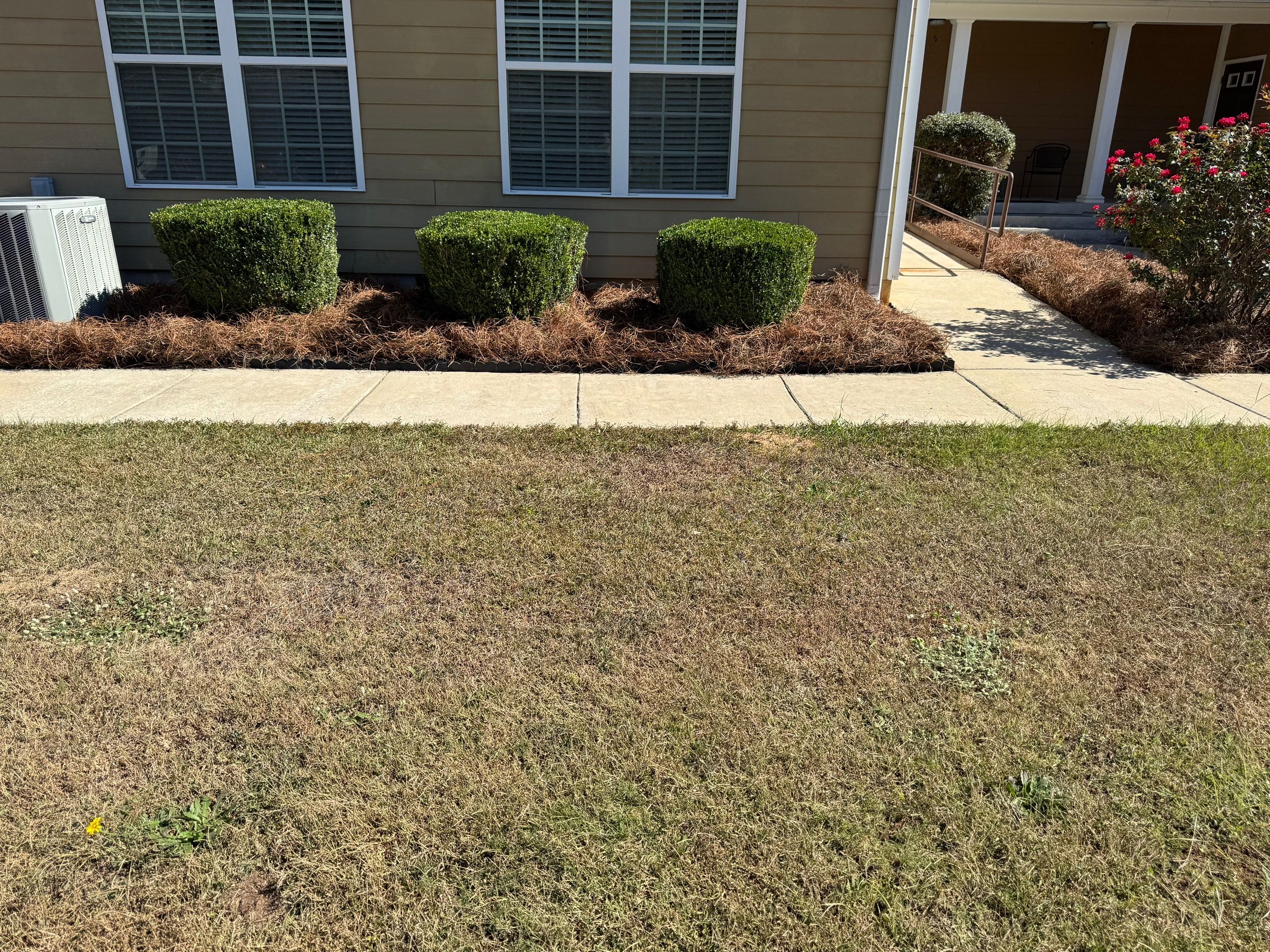 All Photos for Camalett Services in Perry, GA